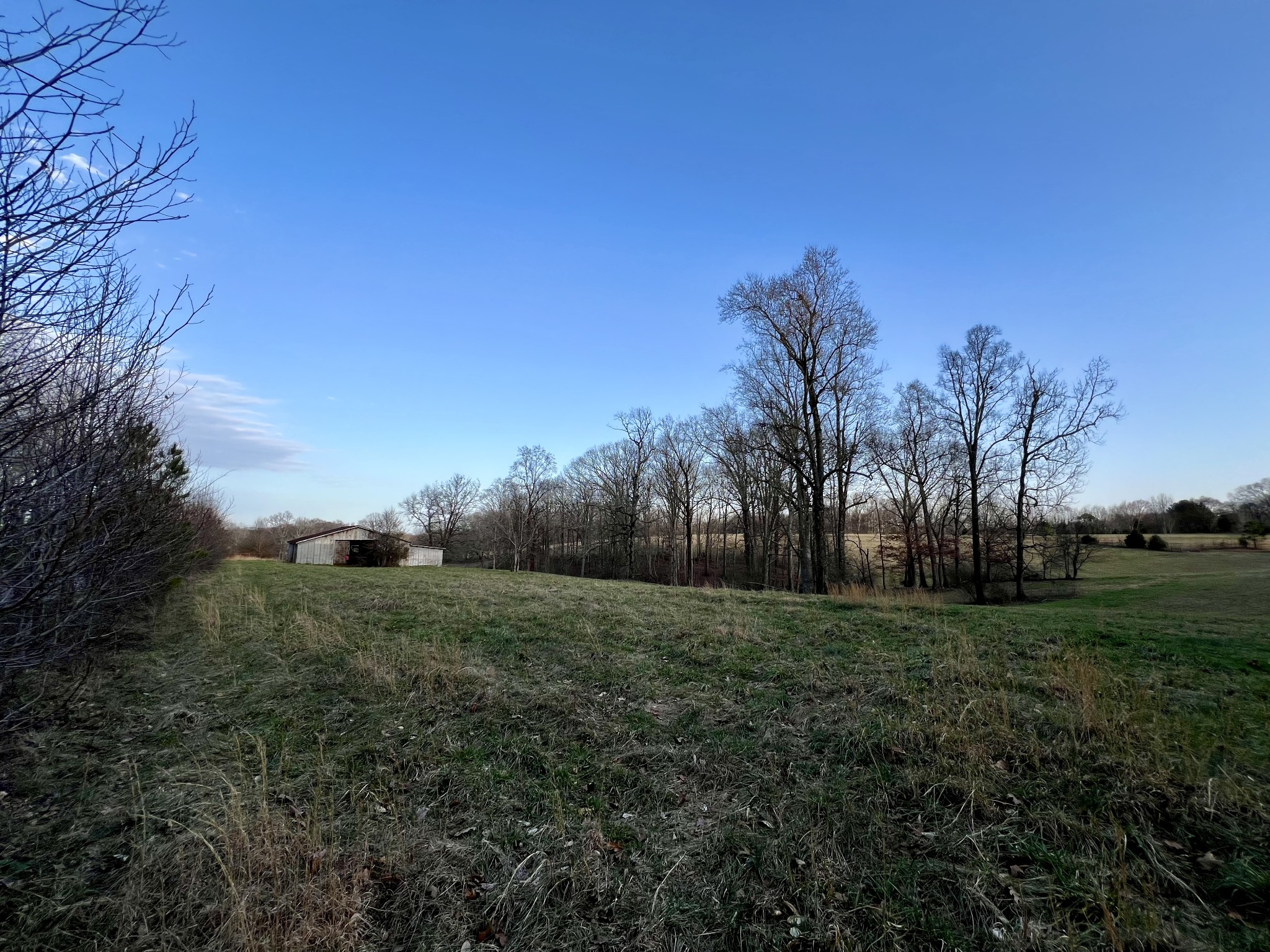 19 Gowen Road Leoma, TN 38468 - Photo 13 of 44