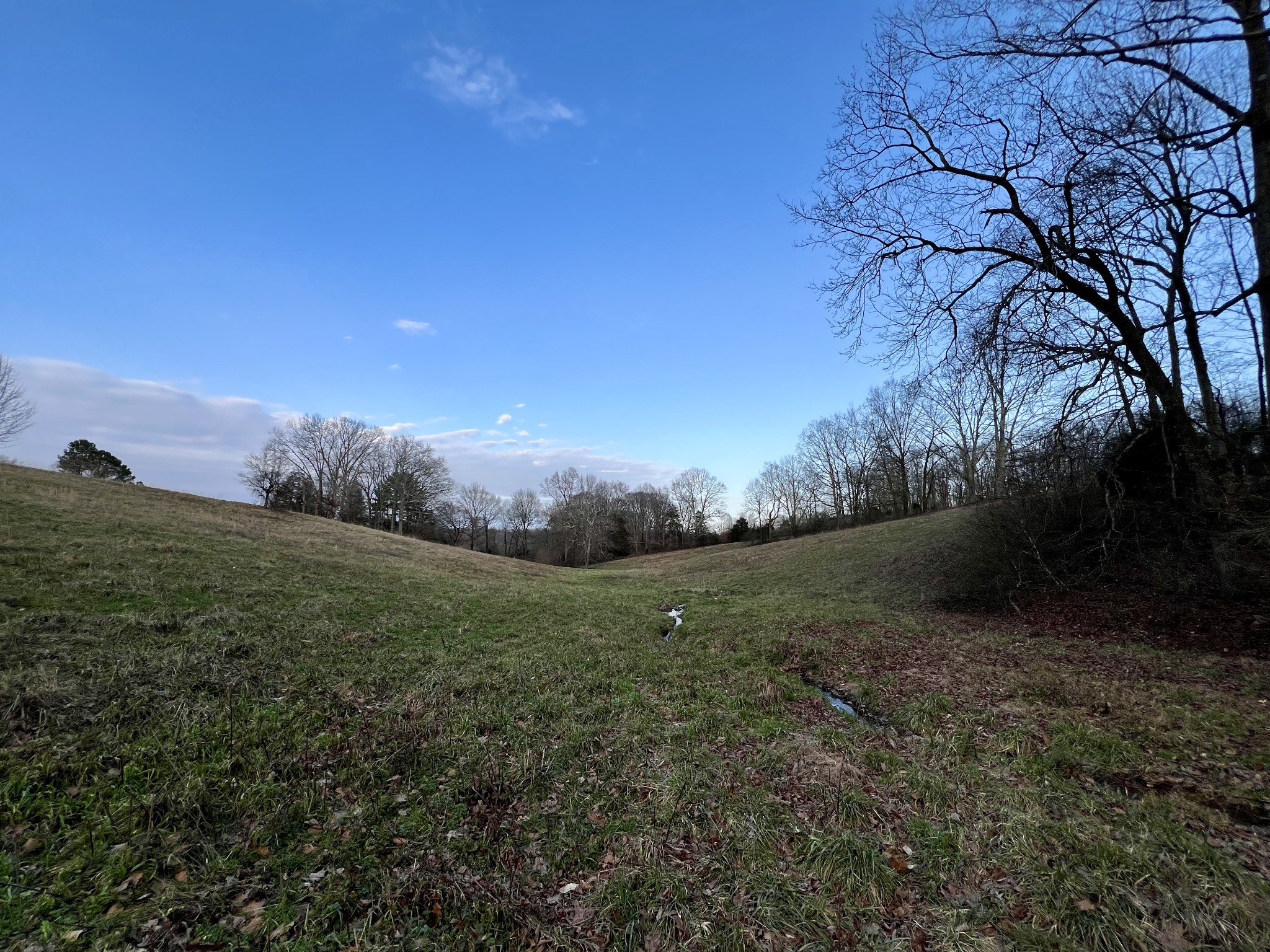 19 Gowen Road Leoma, TN 38468 - Photo 18 of 44