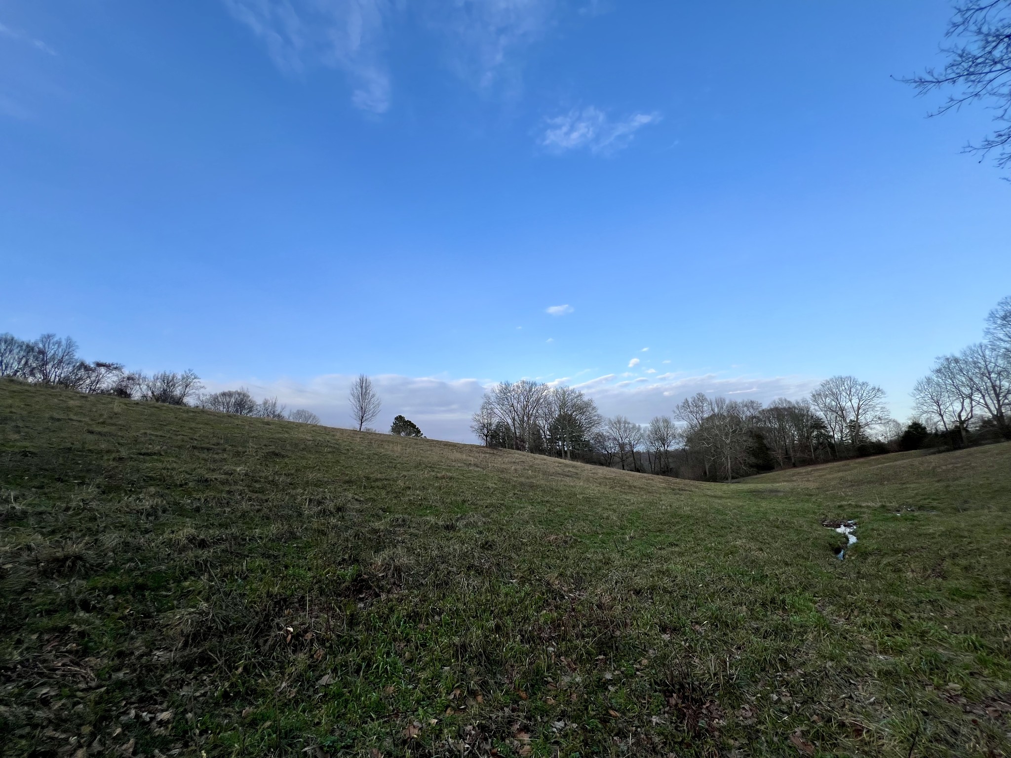 19 Gowen Road Leoma, TN 38468 - Photo 19 of 44