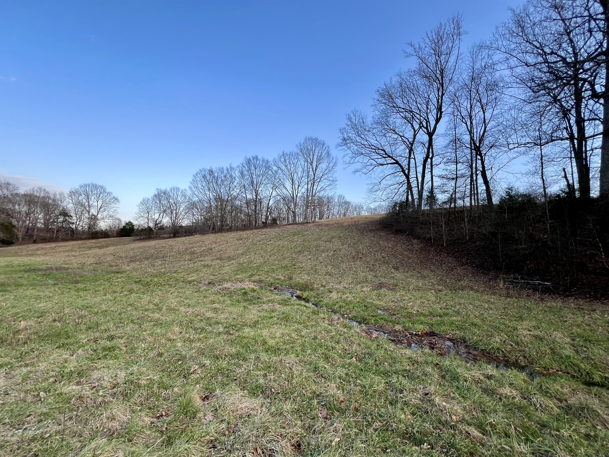 19 Gowen Road Leoma, TN 38468 - Photo 20 of 44