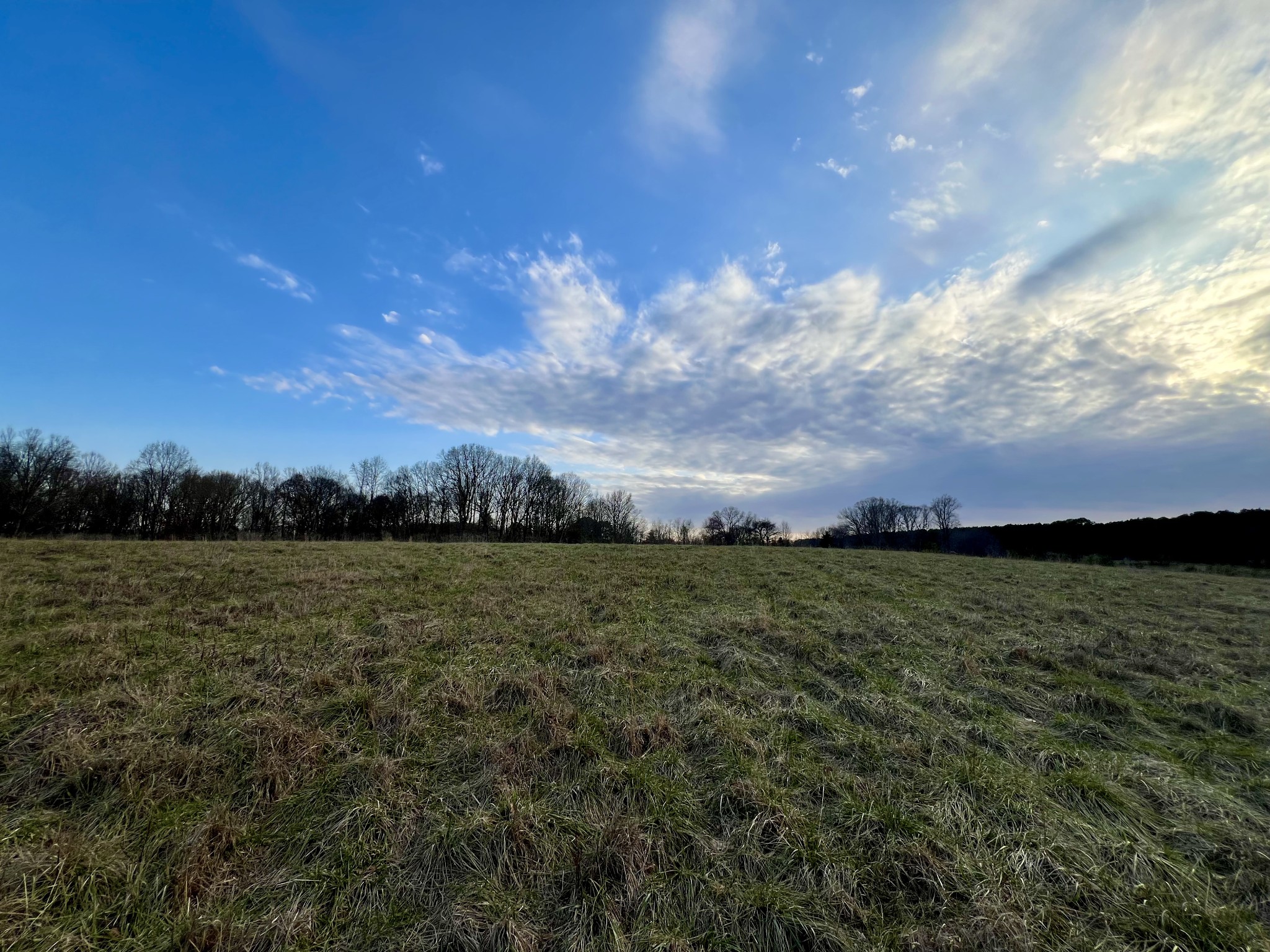 19 Gowen Road Leoma, TN 38468 - Photo 2 of 44