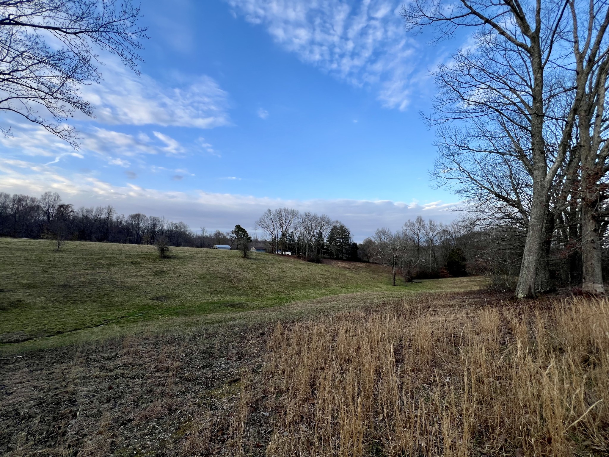 19 Gowen Road Leoma, TN 38468 - Photo 22 of 44