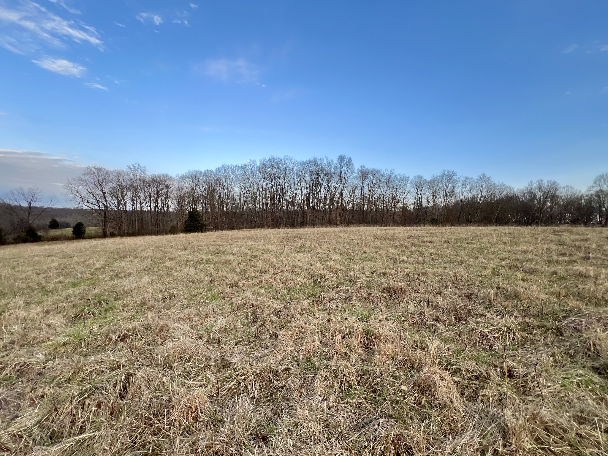 19 Gowen Road Leoma, TN 38468 - Photo 23 of 44