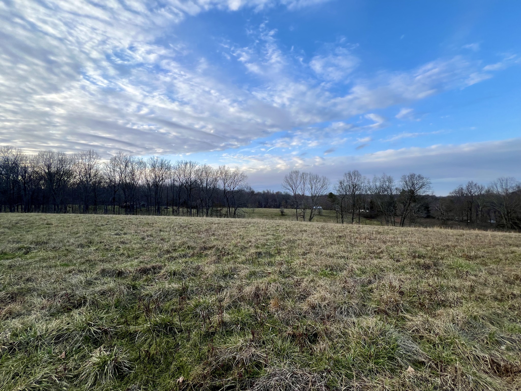 19 Gowen Road Leoma, TN 38468 - Photo 24 of 44