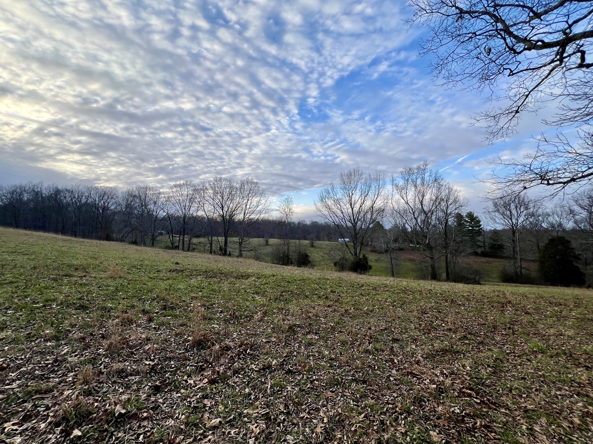19 Gowen Road Leoma, TN 38468 - Photo 25 of 44