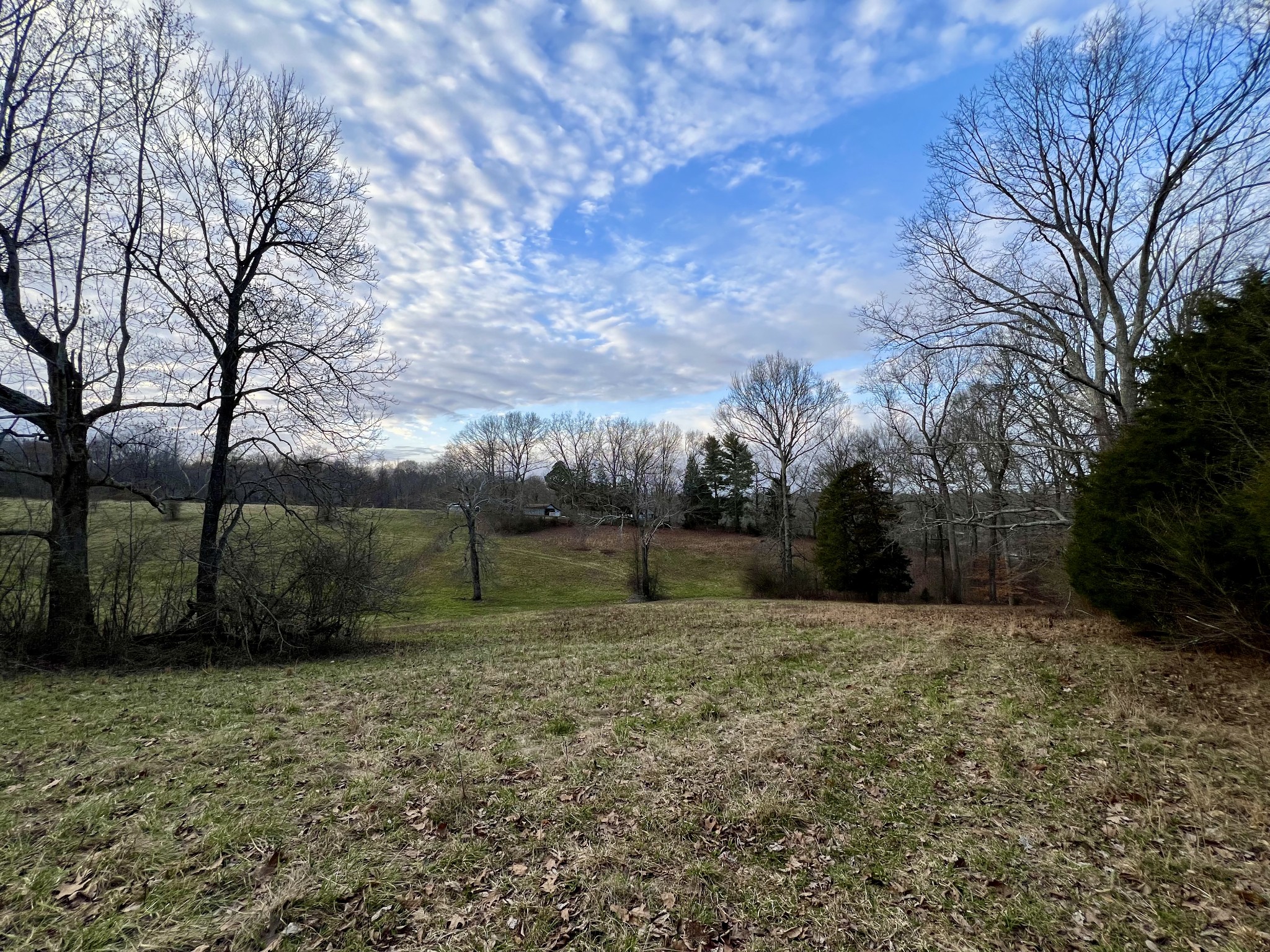 19 Gowen Road Leoma, TN 38468 - Photo 26 of 44