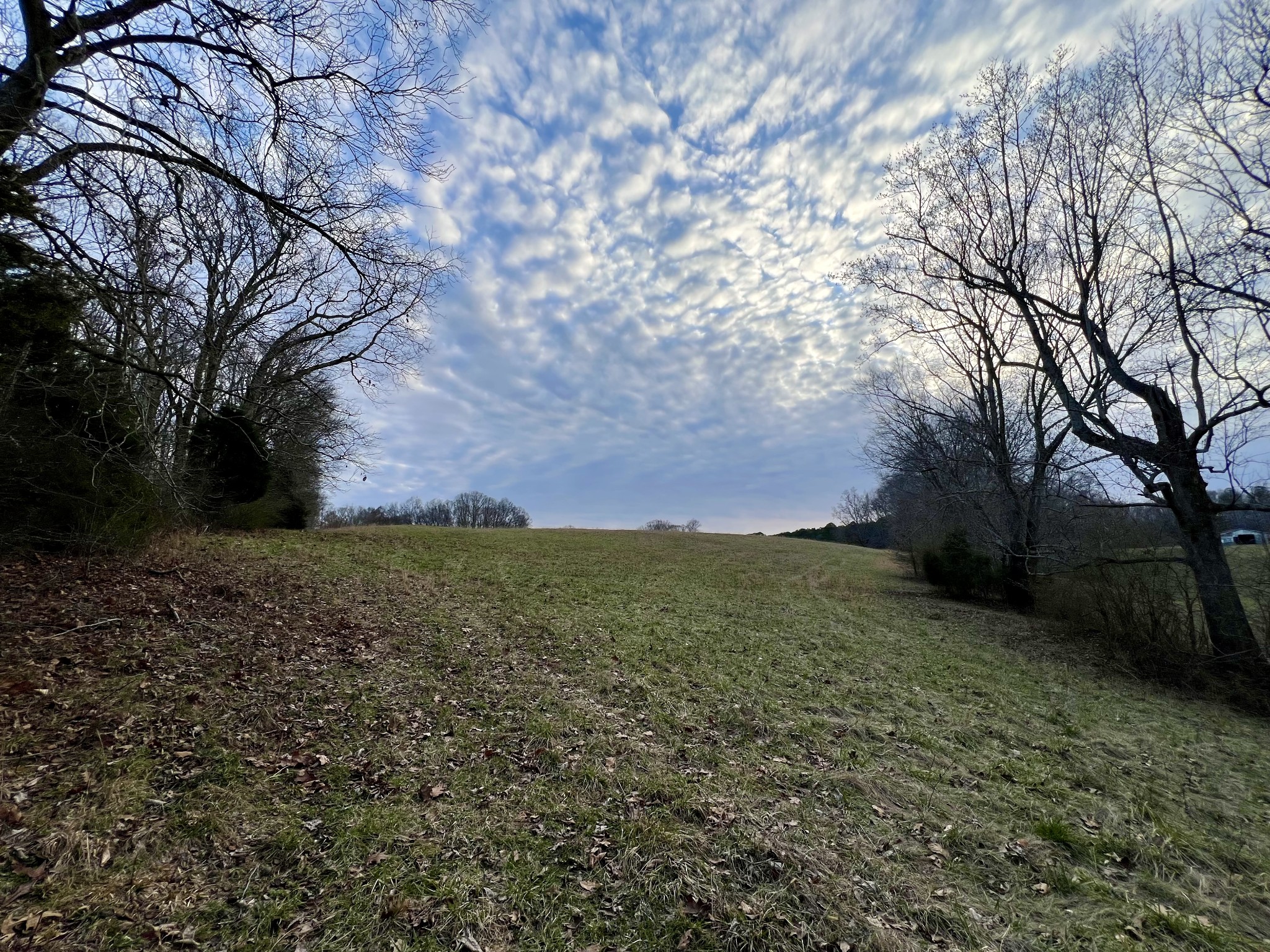 19 Gowen Road Leoma, TN 38468 - Photo 27 of 44