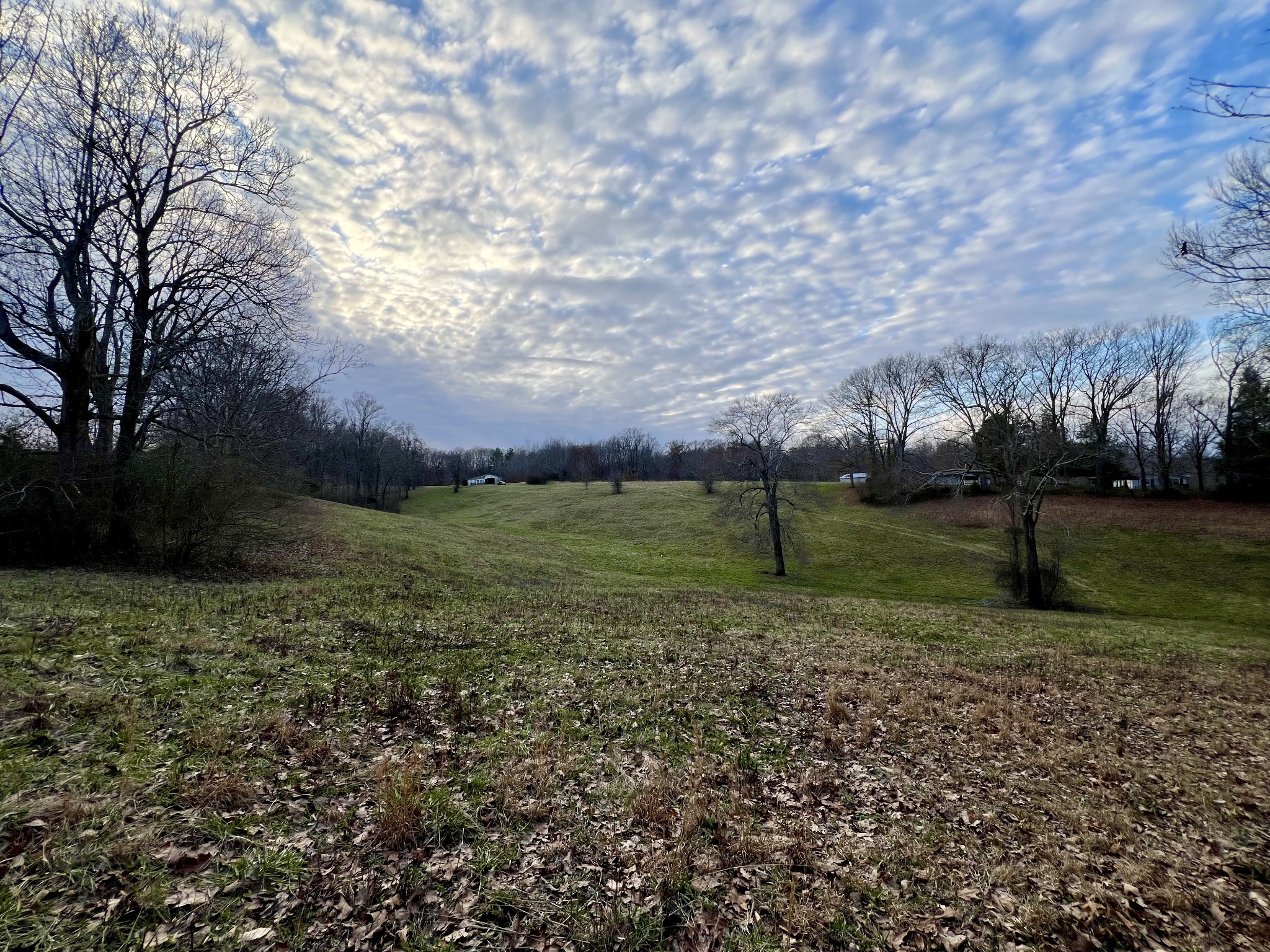 19 Gowen Road Leoma, TN 38468 - Photo 28 of 44