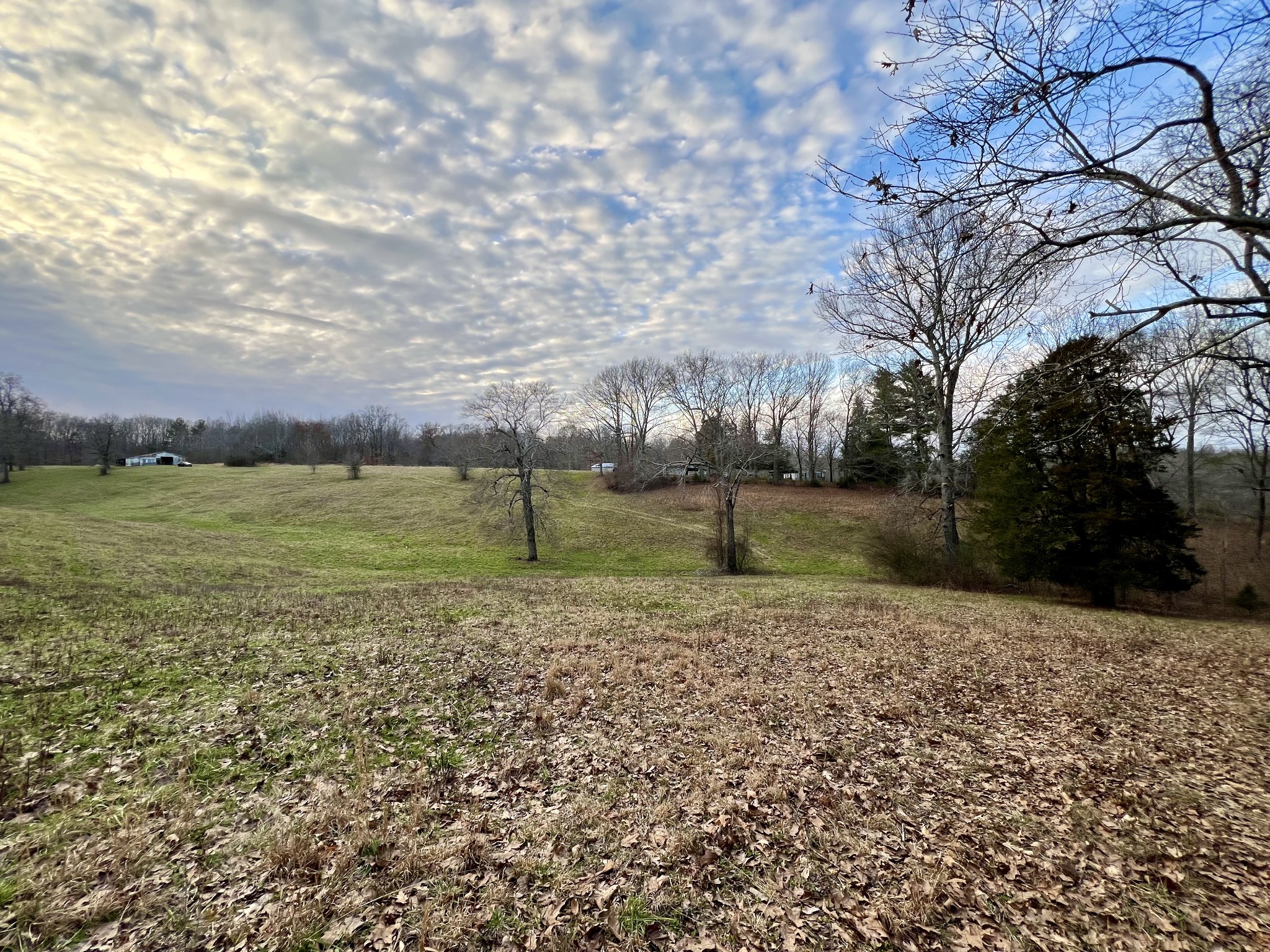 19 Gowen Road Leoma, TN 38468 - Photo 29 of 44