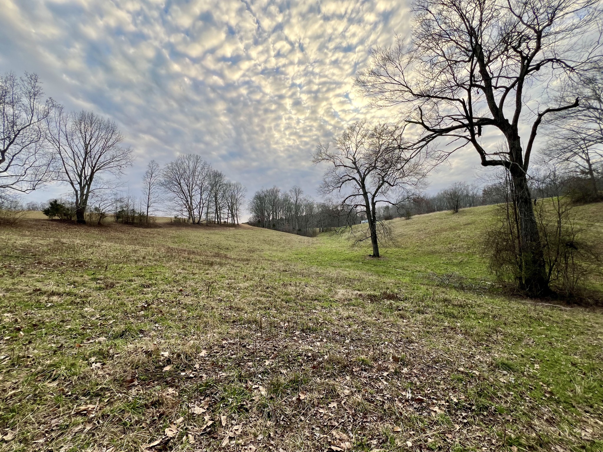 19 Gowen Road Leoma, TN 38468 - Photo 30 of 44