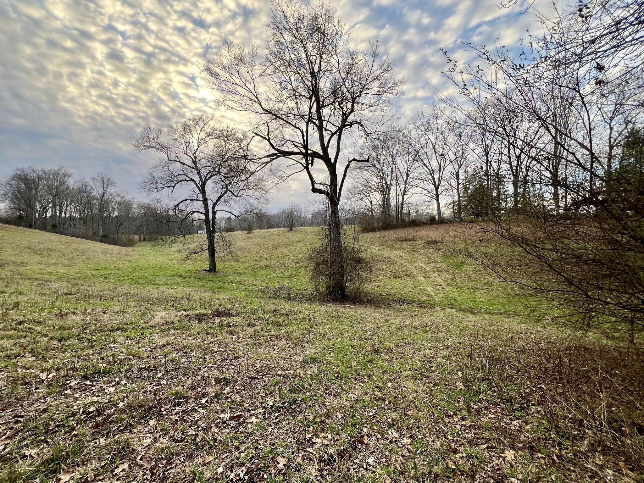 19 Gowen Road Leoma, TN 38468 - Photo 31 of 44