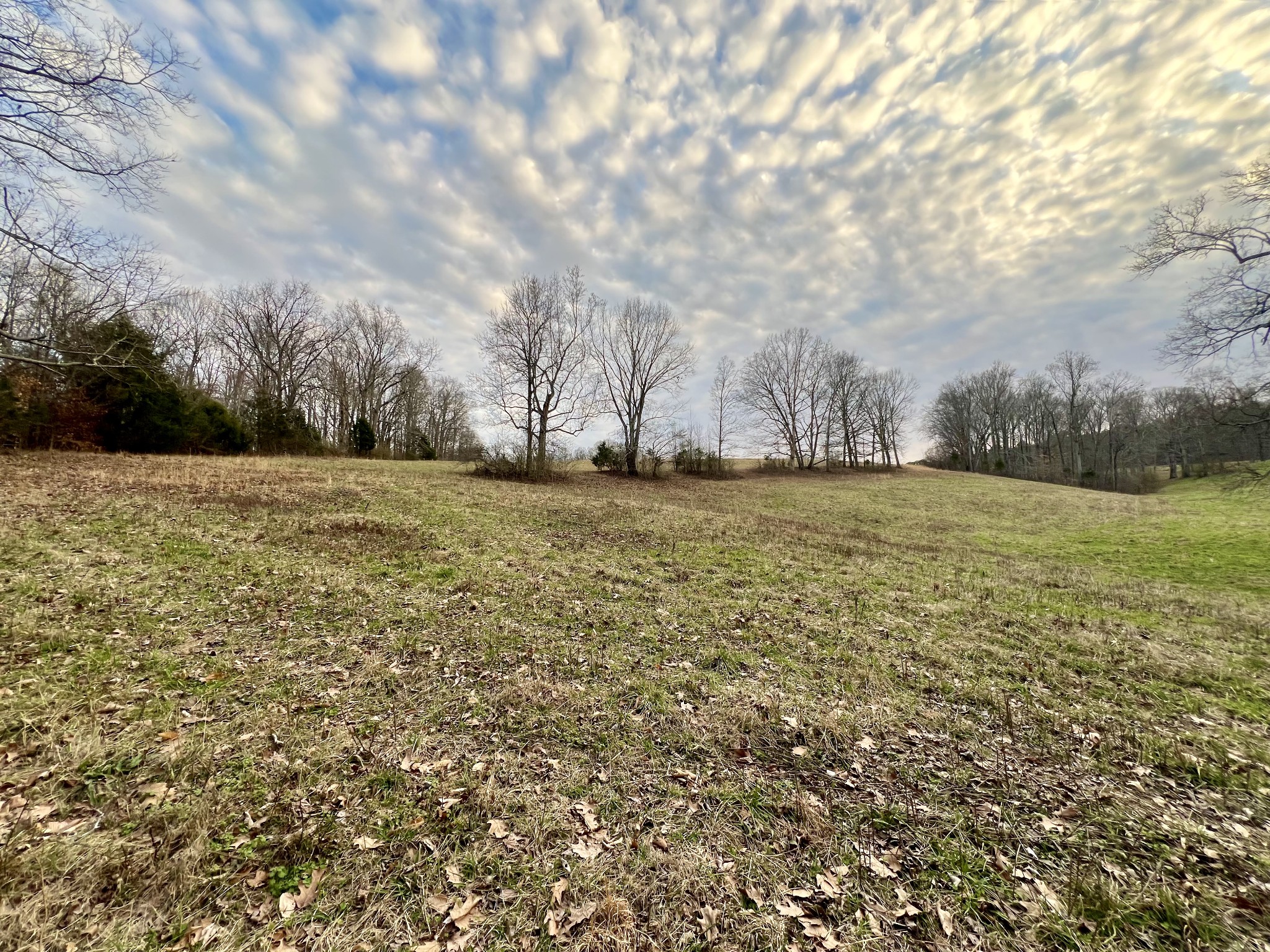 19 Gowen Road Leoma, TN 38468 - Photo 32 of 44