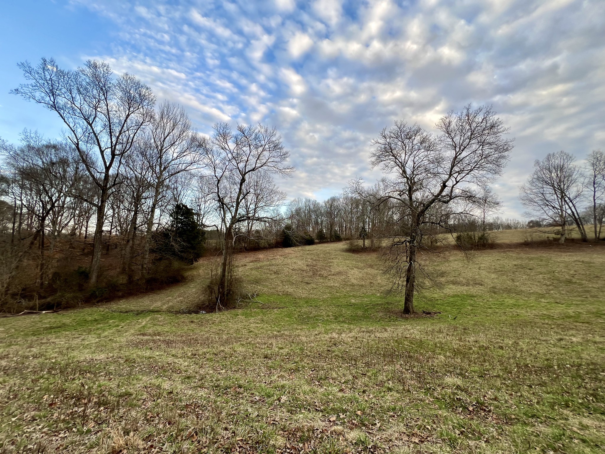 19 Gowen Road Leoma, TN 38468 - Photo 33 of 44