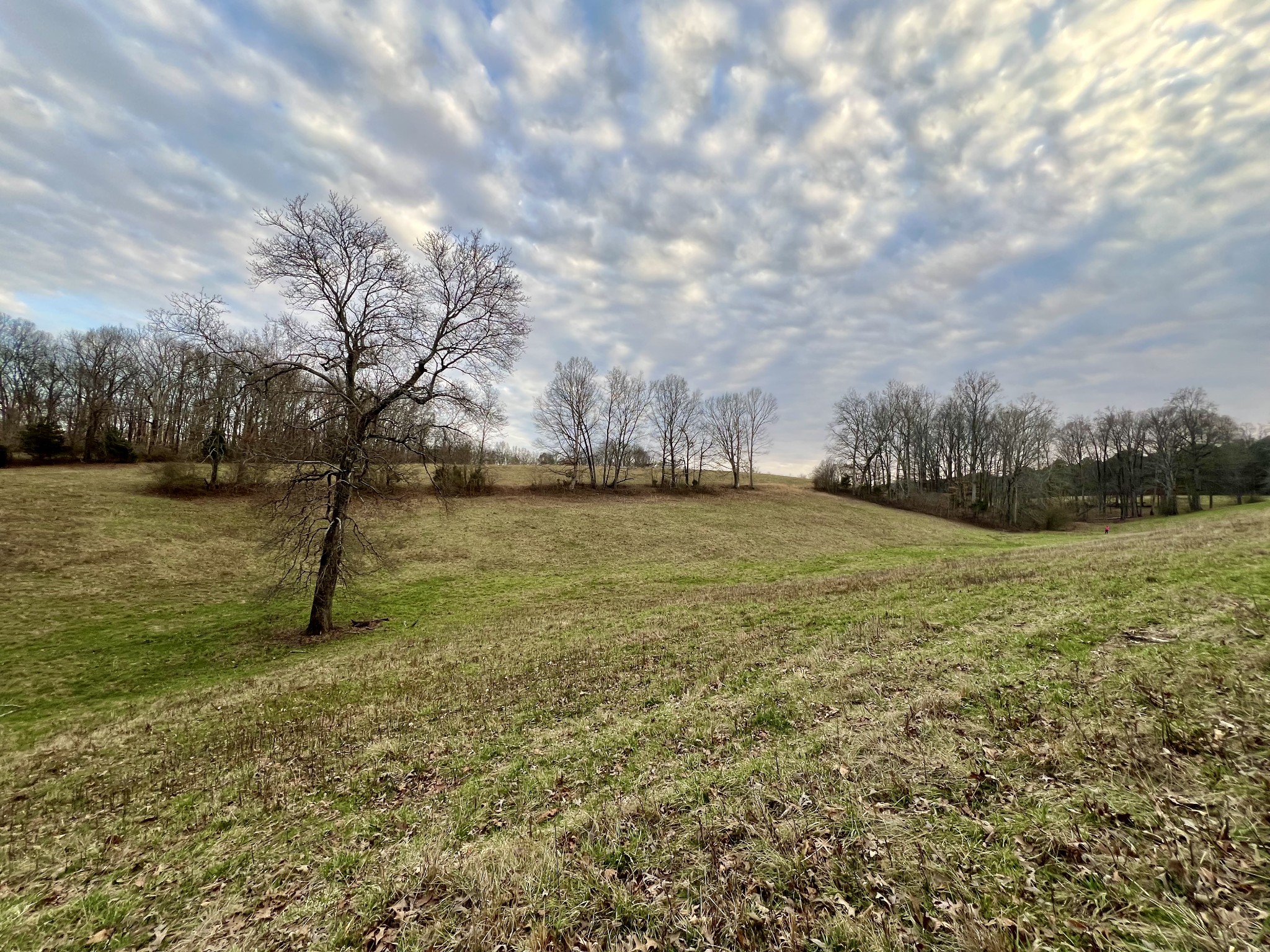 19 Gowen Road Leoma, TN 38468 - Photo 34 of 44