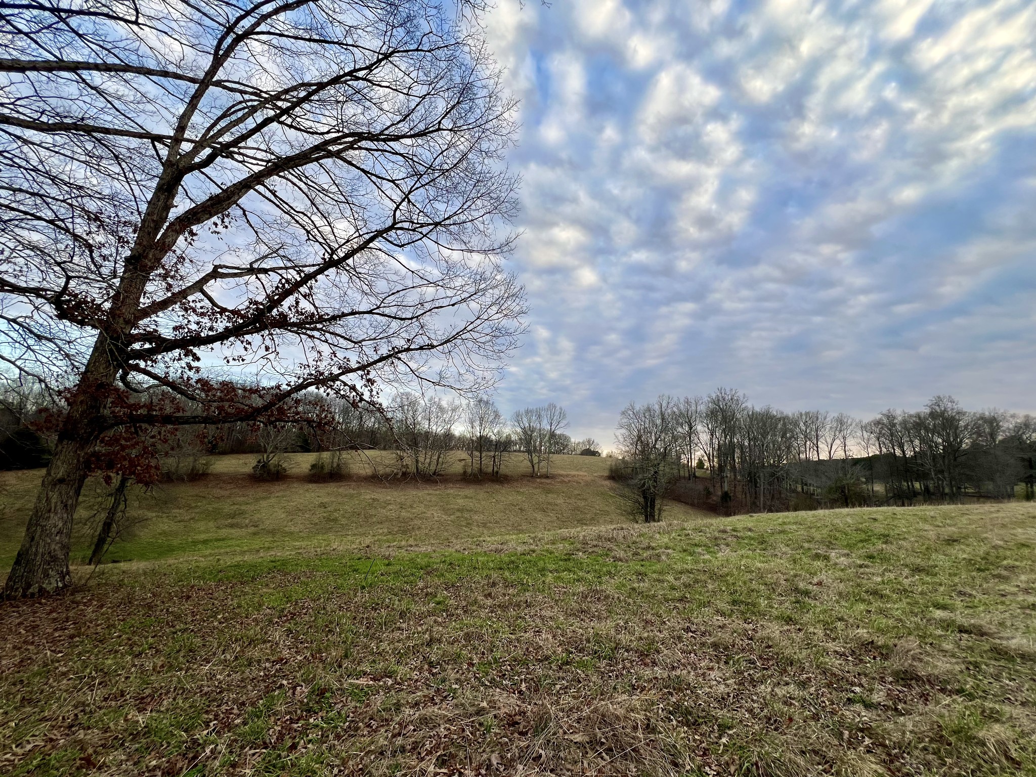 19 Gowen Road Leoma, TN 38468 - Photo 35 of 44