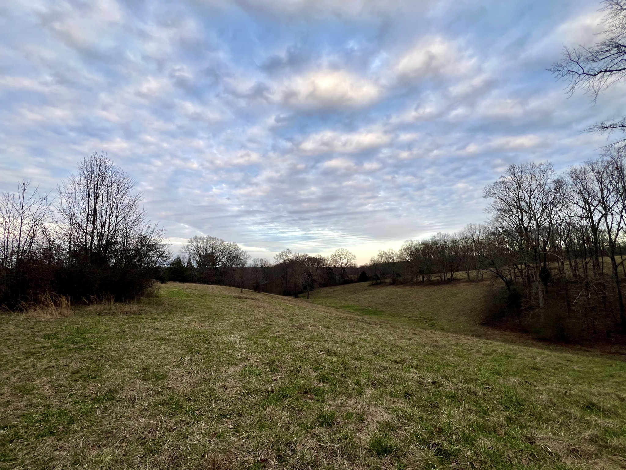 19 Gowen Road Leoma, TN 38468 - Photo 36 of 44