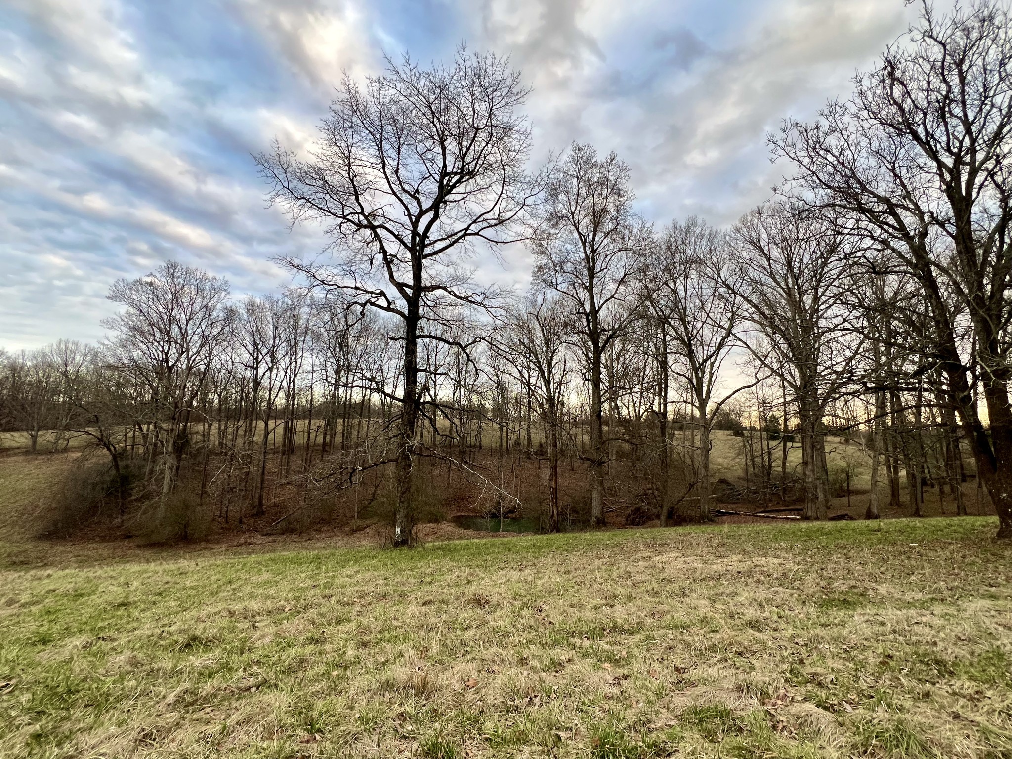 19 Gowen Road Leoma, TN 38468 - Photo 37 of 44