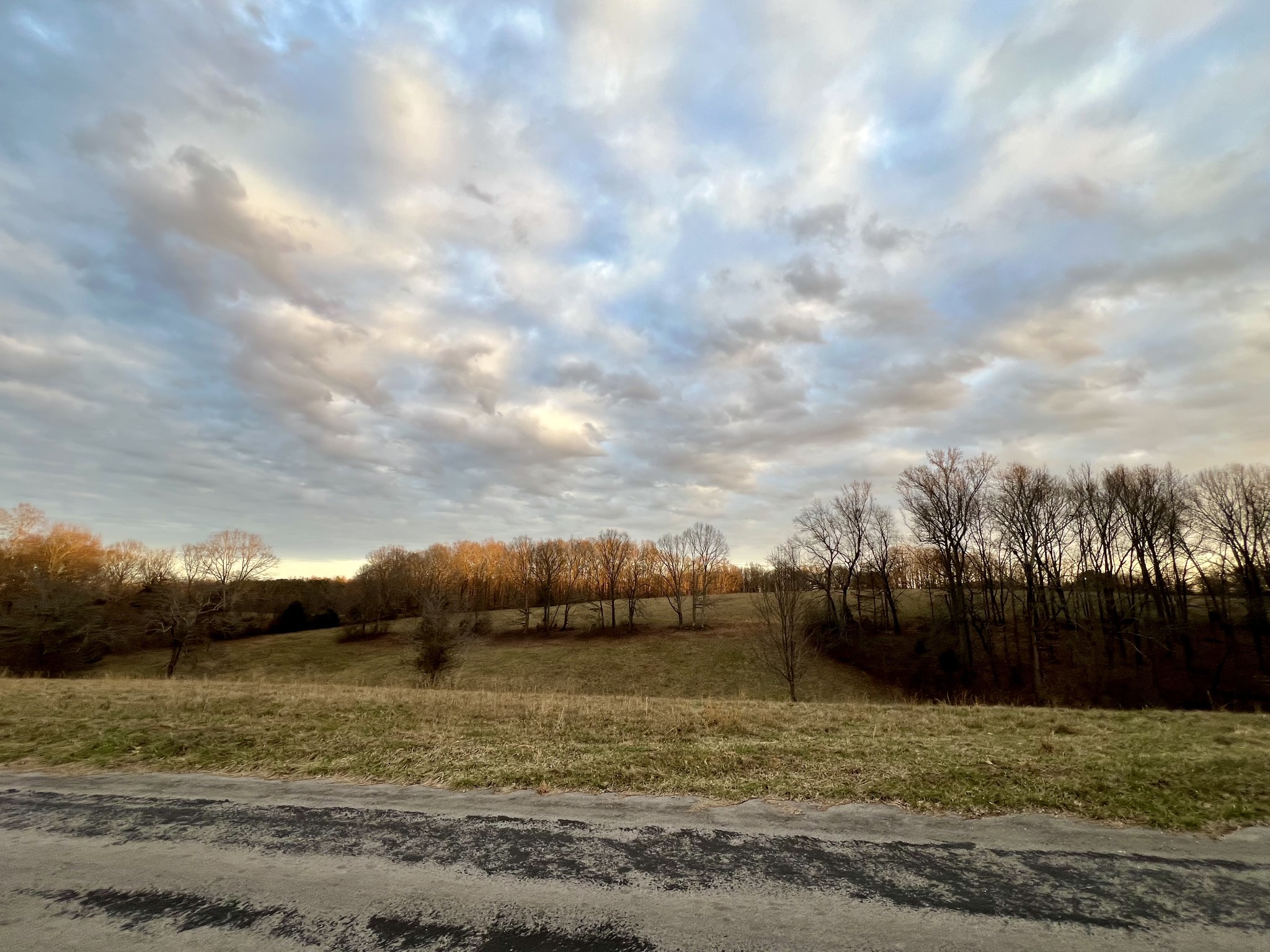 19 Gowen Road Leoma, TN 38468 - Photo 38 of 44