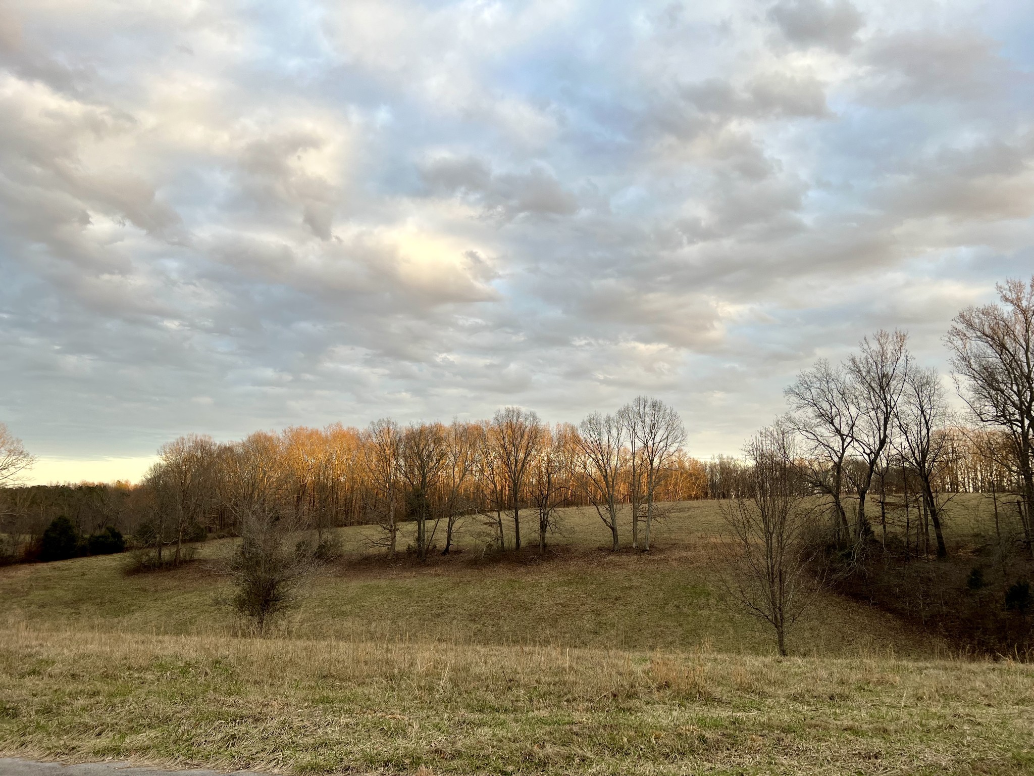 19 Gowen Road Leoma, TN 38468 - Photo 39 of 44