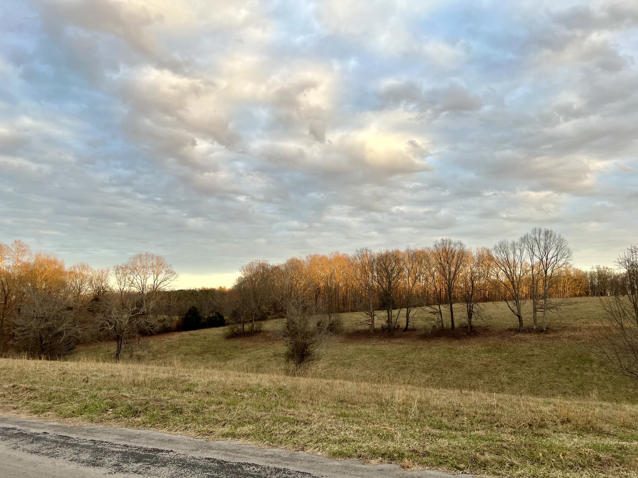 19 Gowen Road Leoma, TN 38468 - Photo 40 of 44