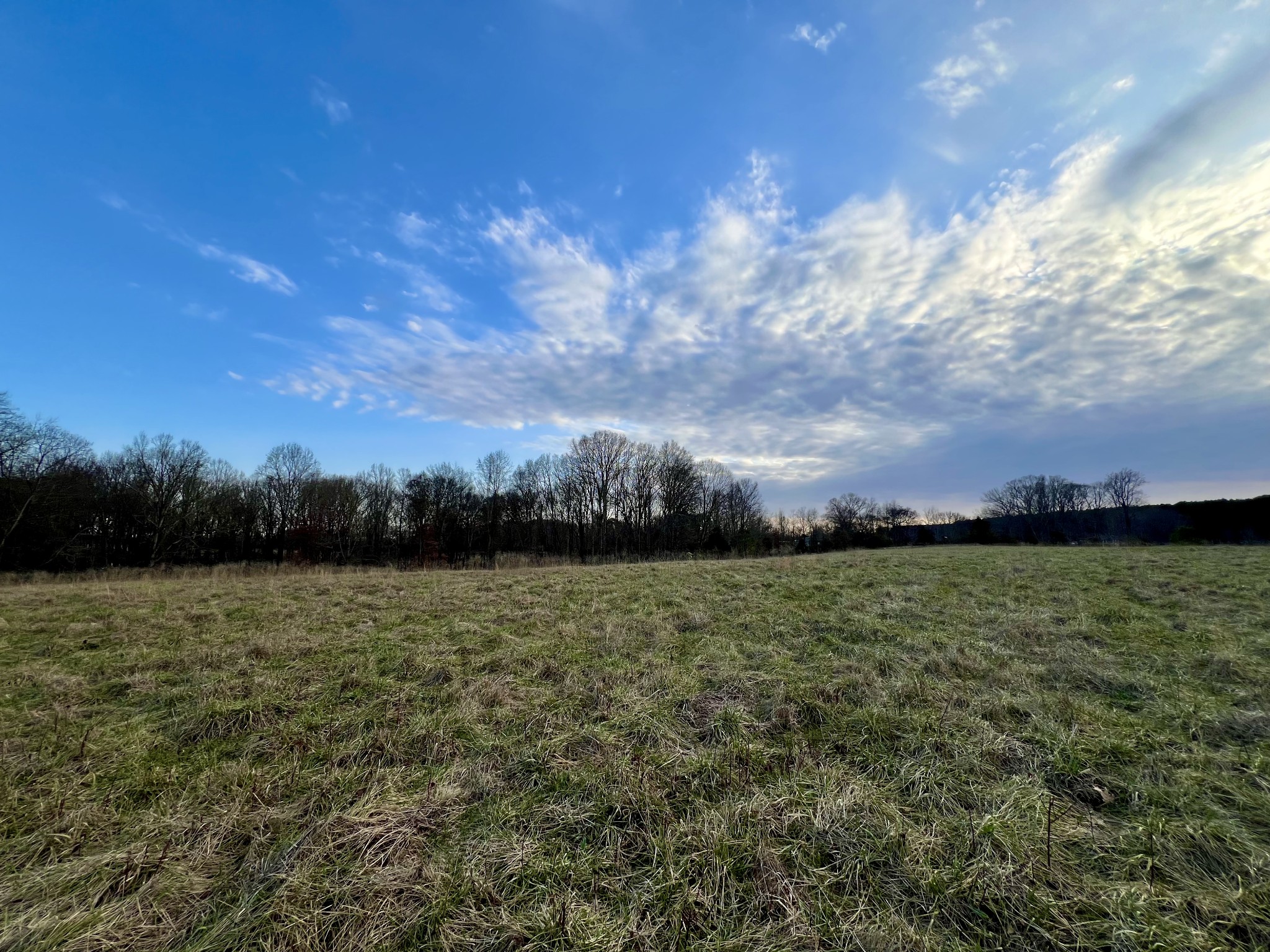19 Gowen Road Leoma, TN 38468 - Photo 4 of 44