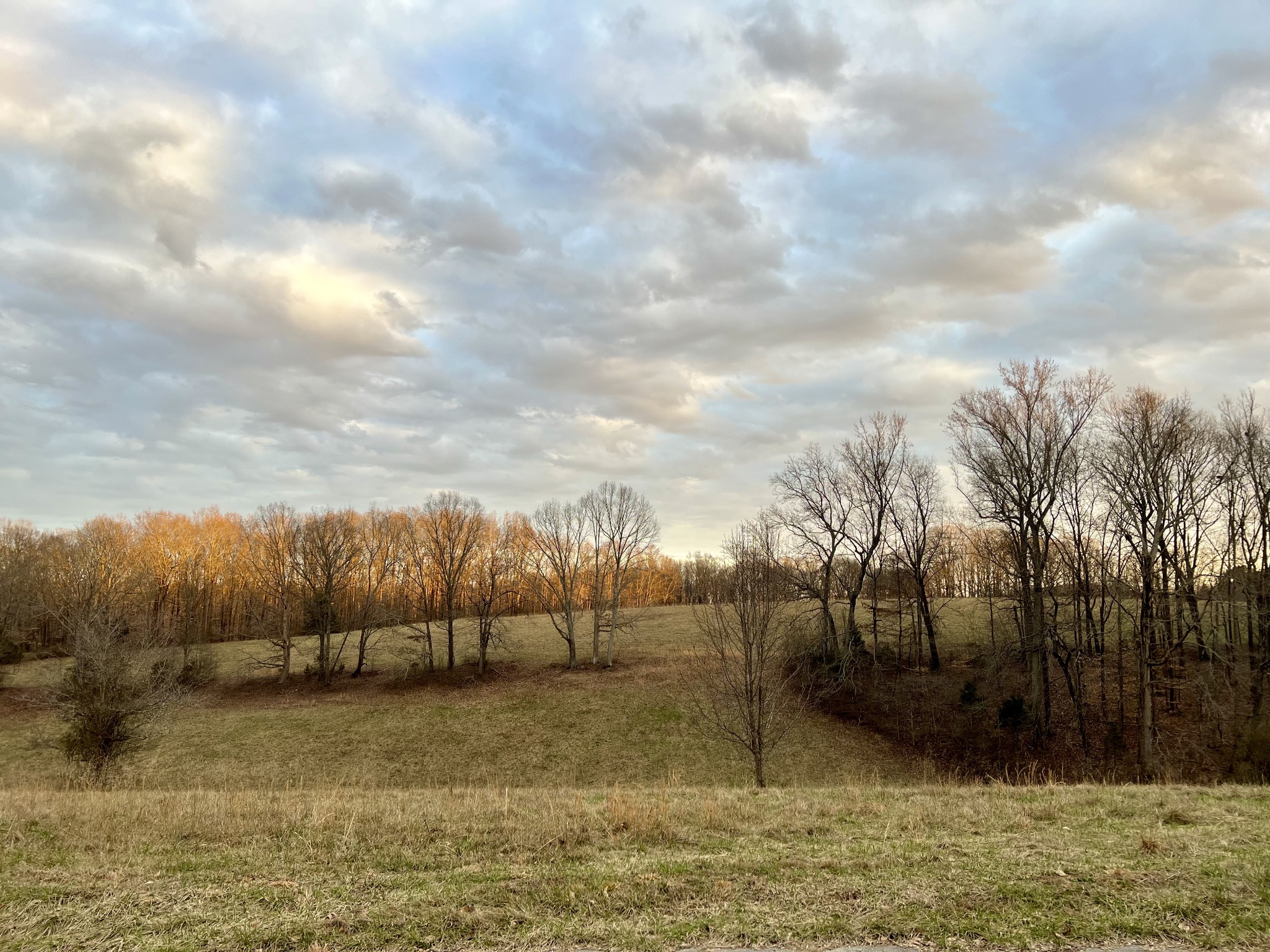 19 Gowen Road Leoma, TN 38468 - Photo 41 of 44