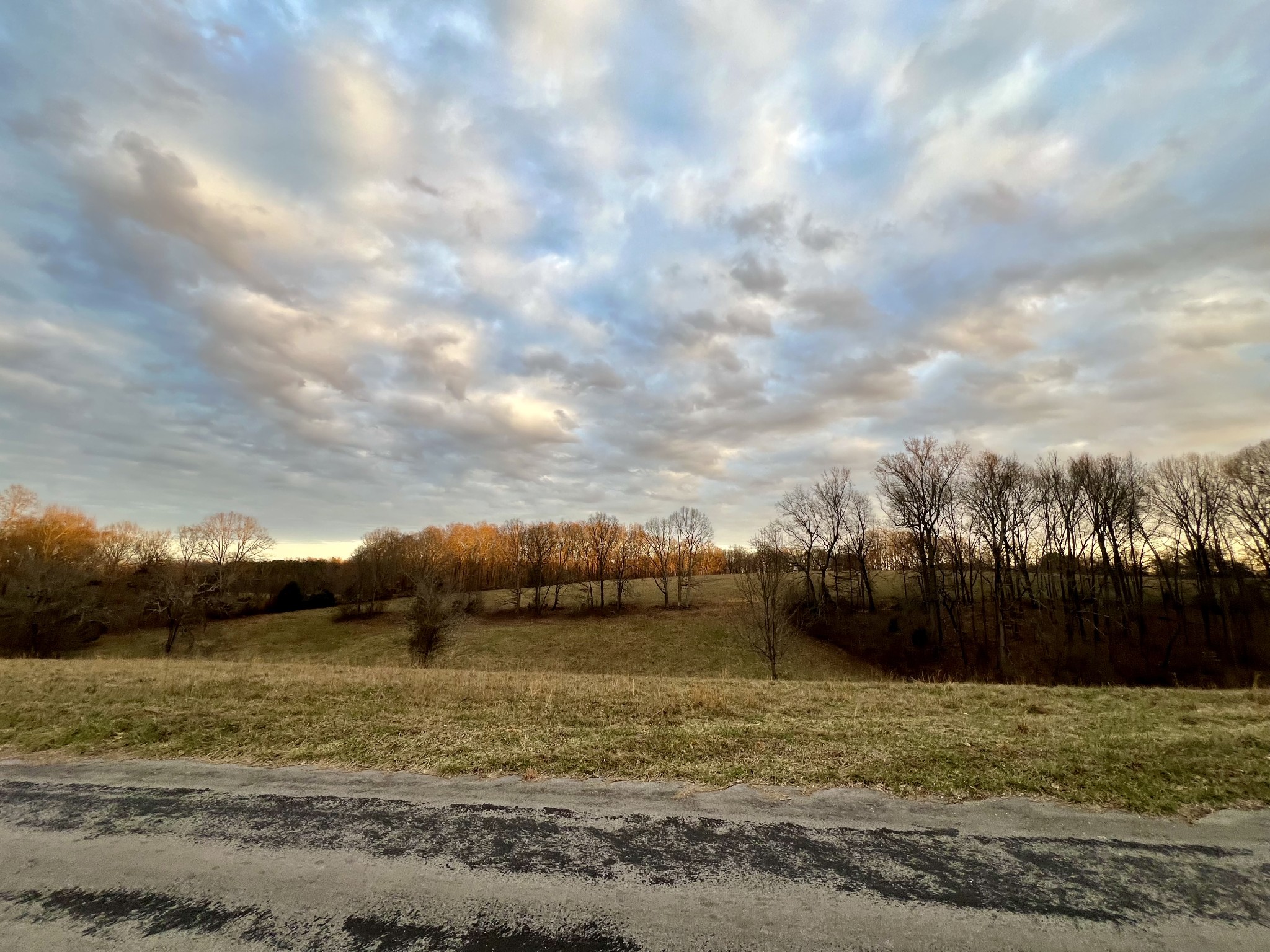 19 Gowen Road Leoma, TN 38468 - Photo 42 of 44
