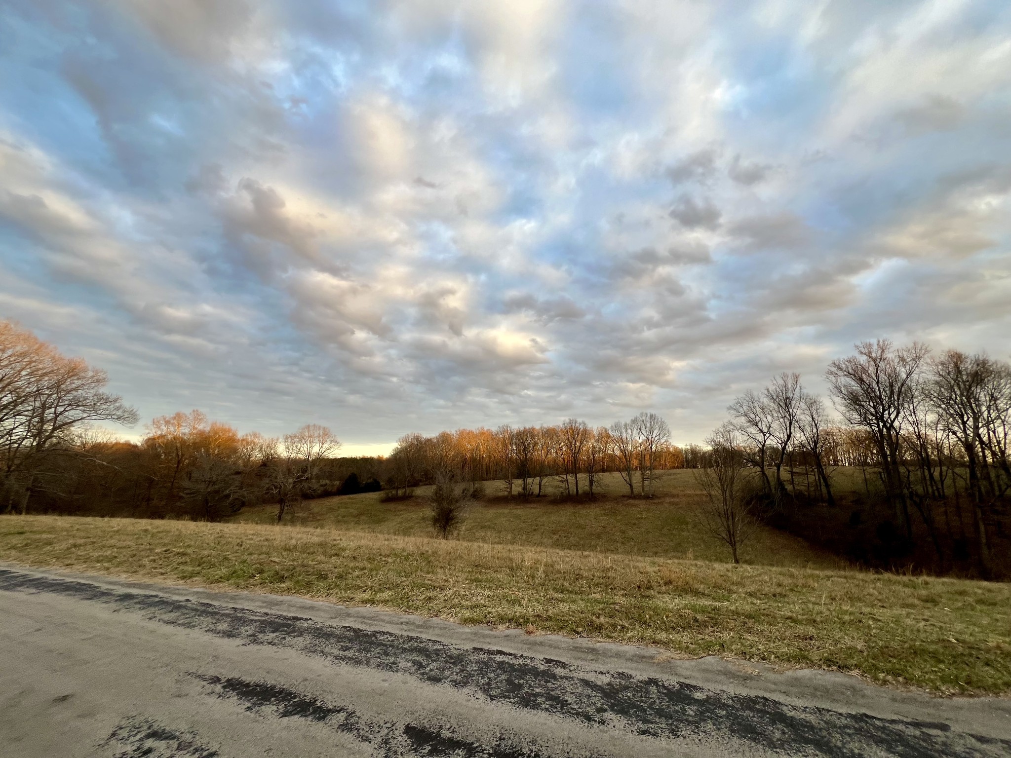 19 Gowen Road Leoma, TN 38468 - Photo 43 of 44