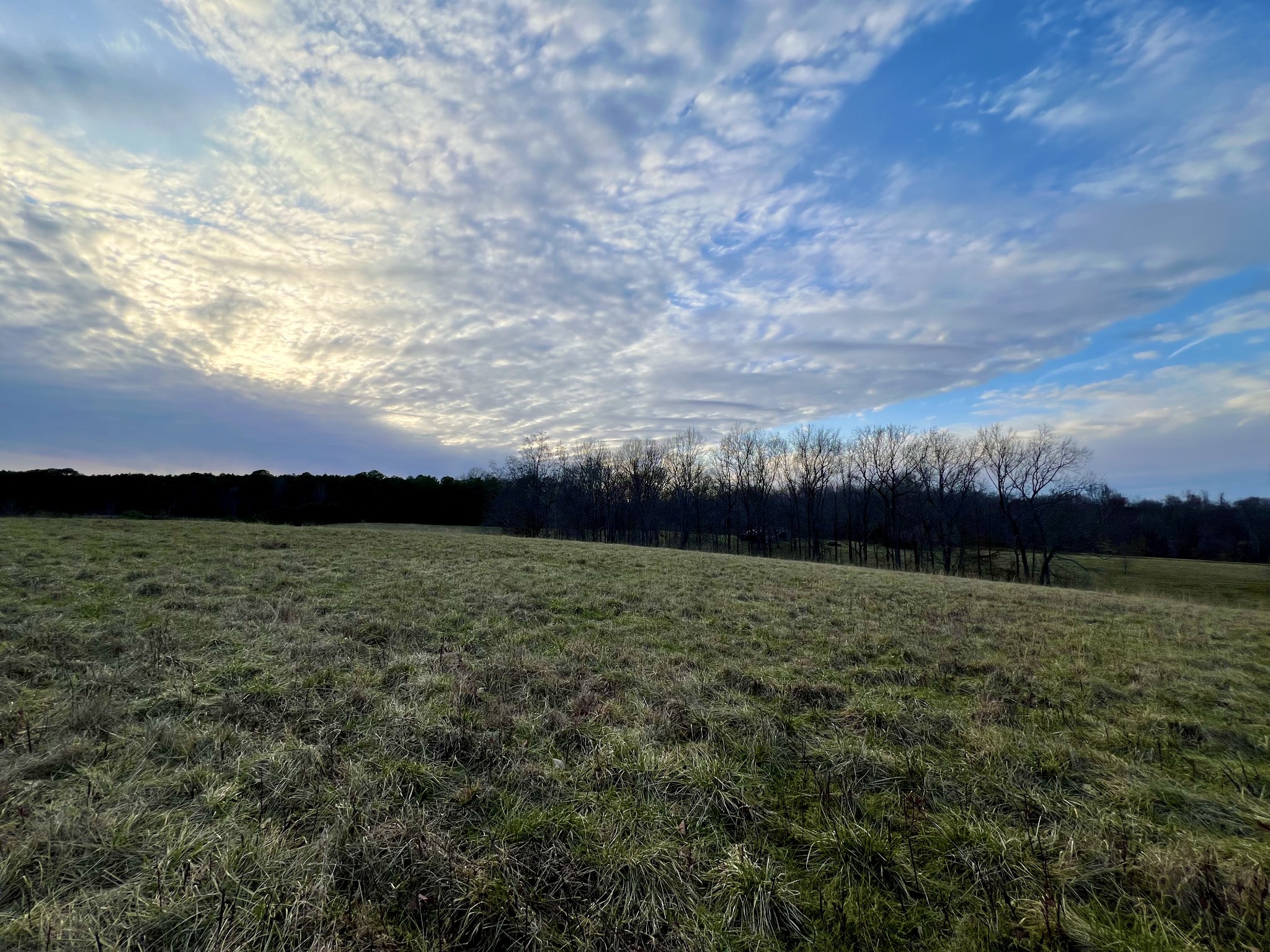 19 Gowen Road Leoma, TN 38468 - Photo 5 of 44