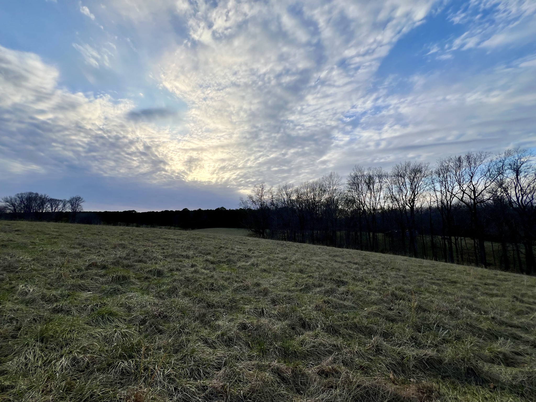 19 Gowen Road Leoma, TN 38468 - Photo 6 of 44