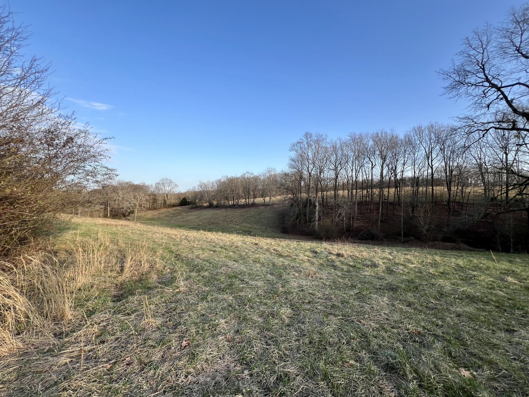 19 Gowen Road Leoma, TN 38468 - Photo 7 of 44