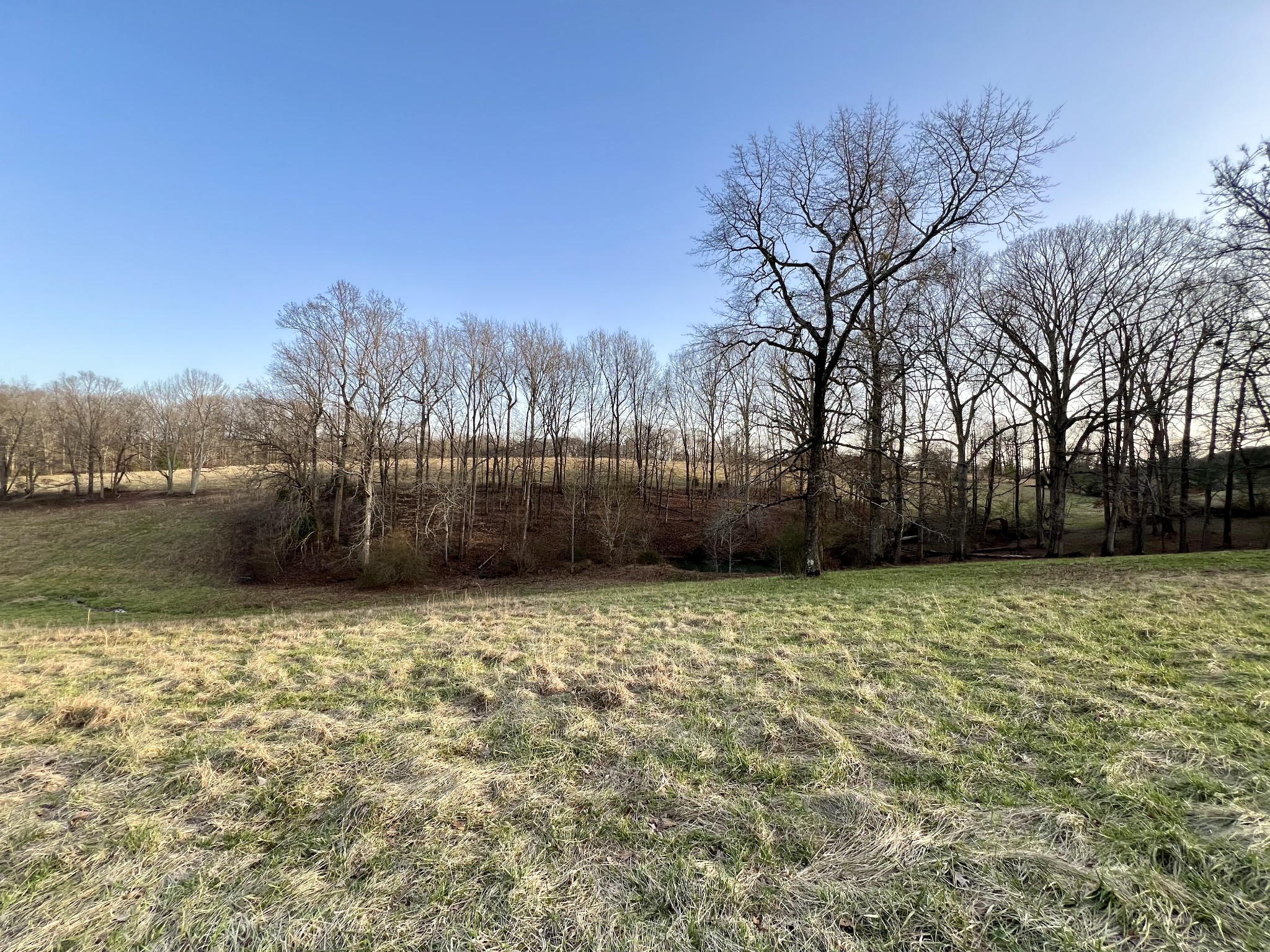 19 Gowen Road Leoma, TN 38468 - Photo 8 of 44