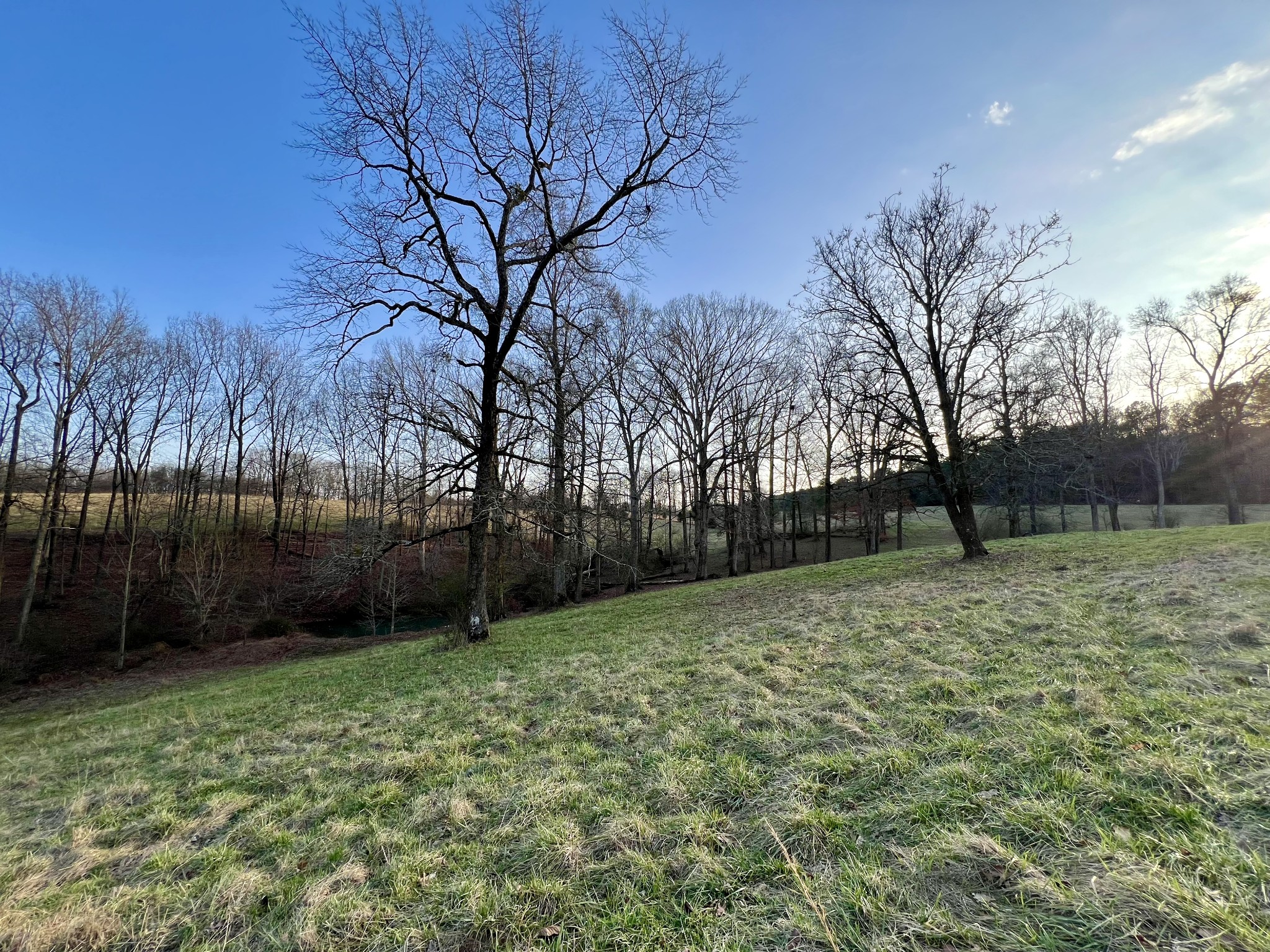 19 Gowen Road Leoma, TN 38468 - Photo 9 of 44