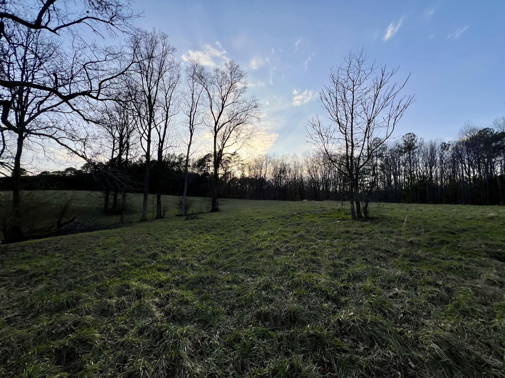 19 Gowen Road Leoma, TN 38468 - Photo 10 of 44