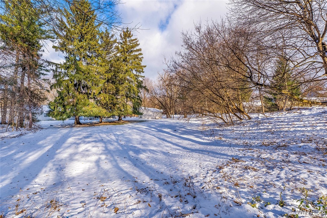 8407 Kimberly Road Clarence, NY 14221 - Photo 39 of 40