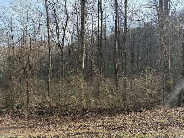 $64,000 | 0 Longbottom Road, Hays, NC 28635