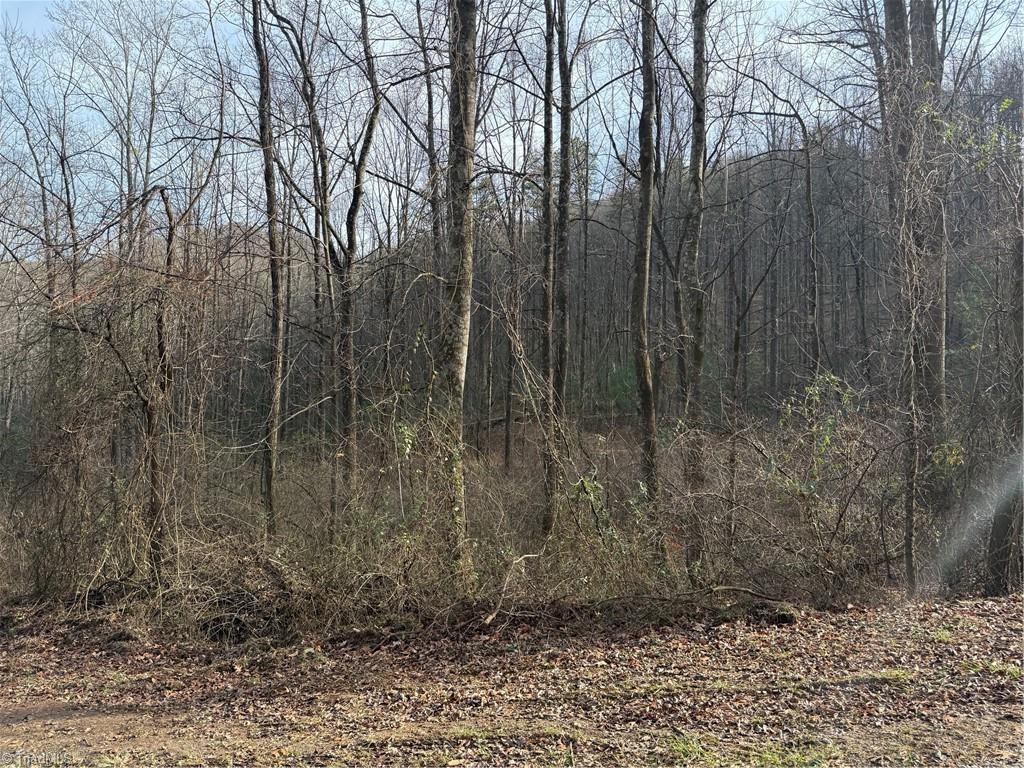 0 Longbottom Road Hays, NC 28635 - Photo 3 of 3