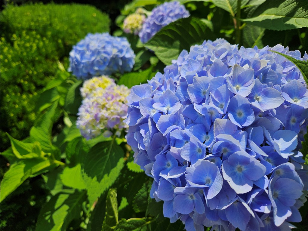 57 Delway Road Cranston, RI 02910 - Photo 24 of 36