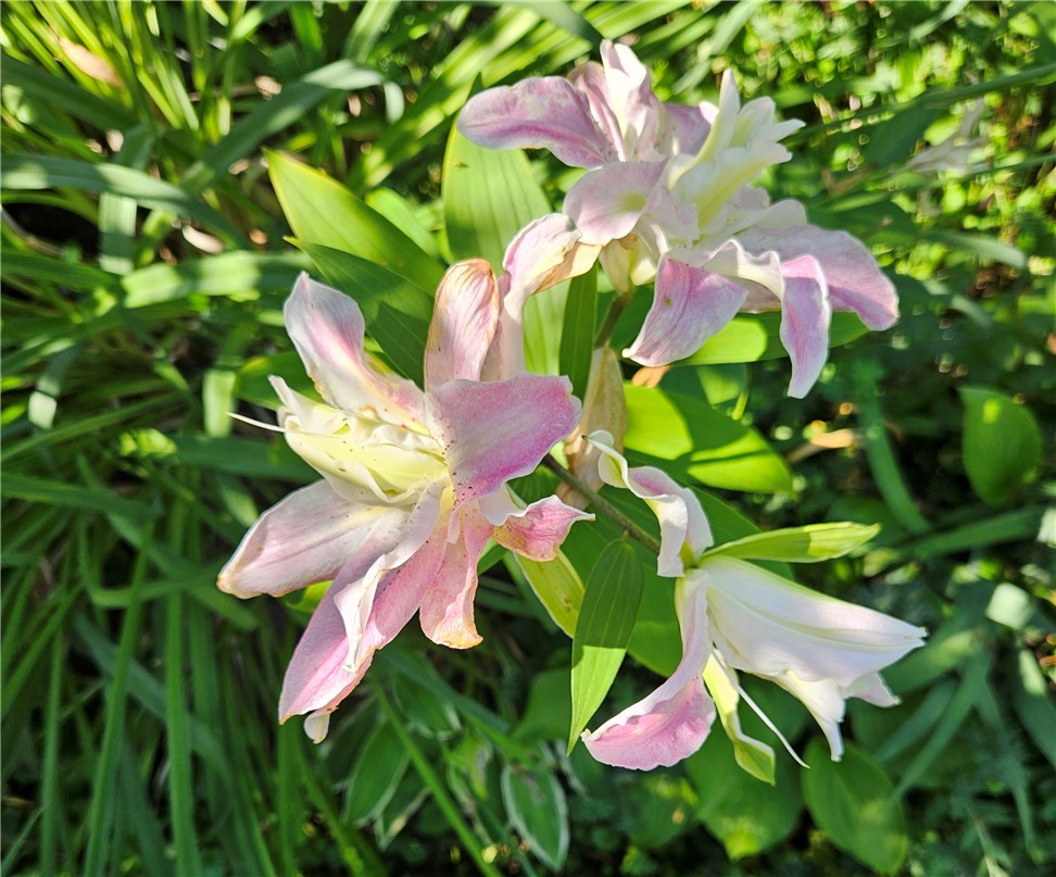 57 Delway Road Cranston, RI 02910 - Photo 25 of 36