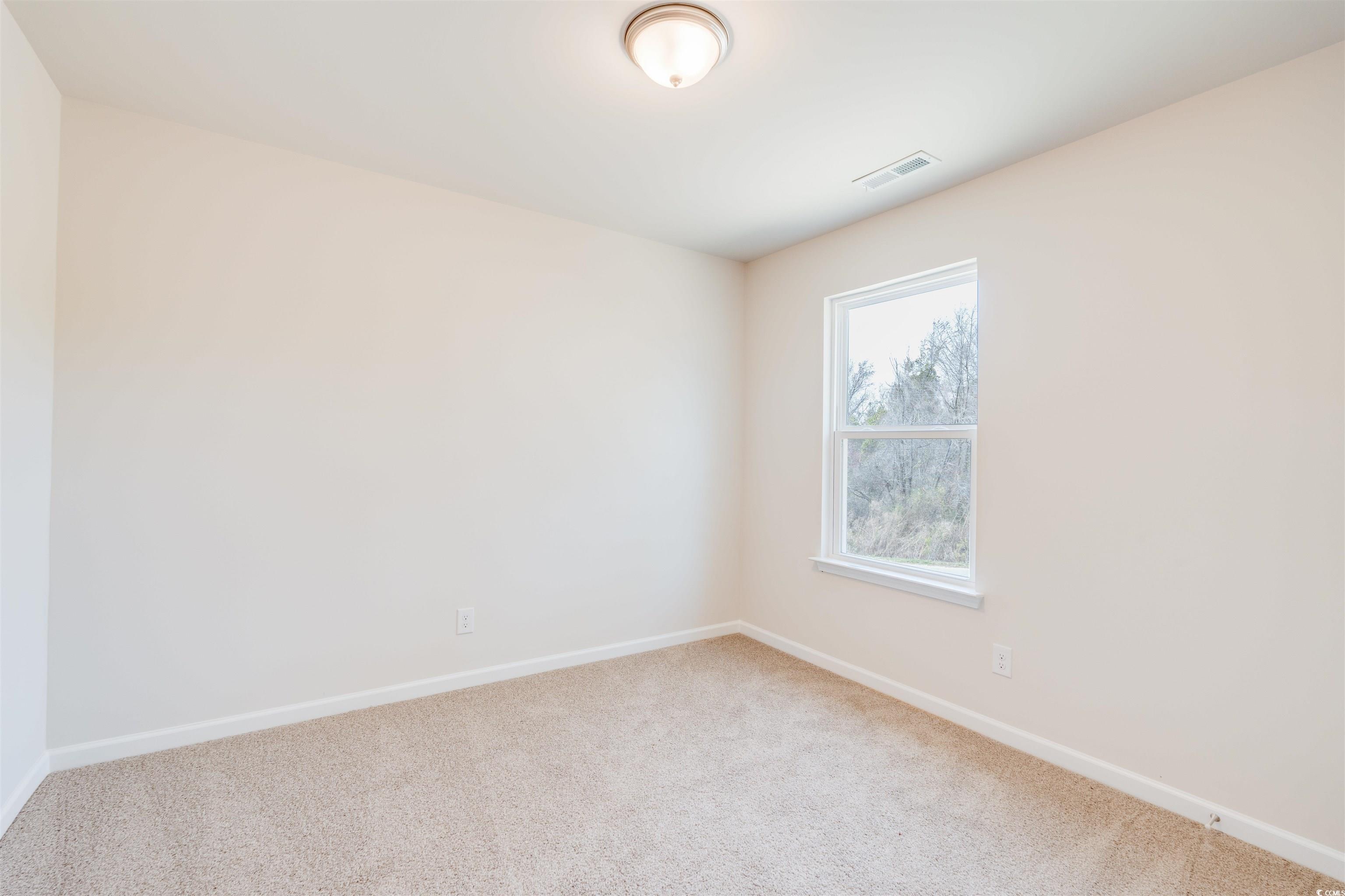 815 Brown Swamp Road Conway, SC 29527 - Photo 28 of 31 Gallery Image 28