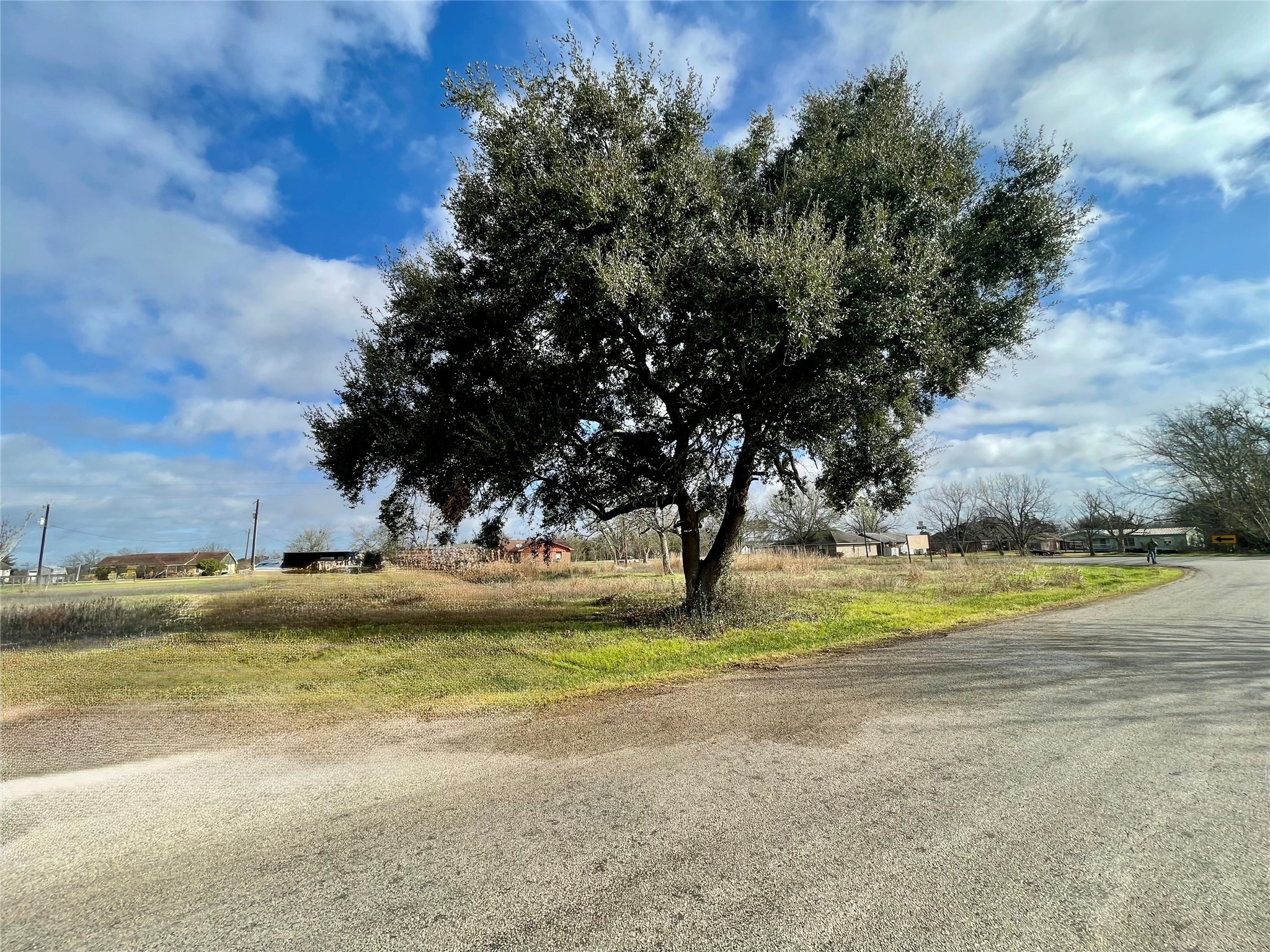 0 Chadwick-Hogan Road Chappell Hill, TX 77426 - Photo 2 of 11 a view of a yard with an trees