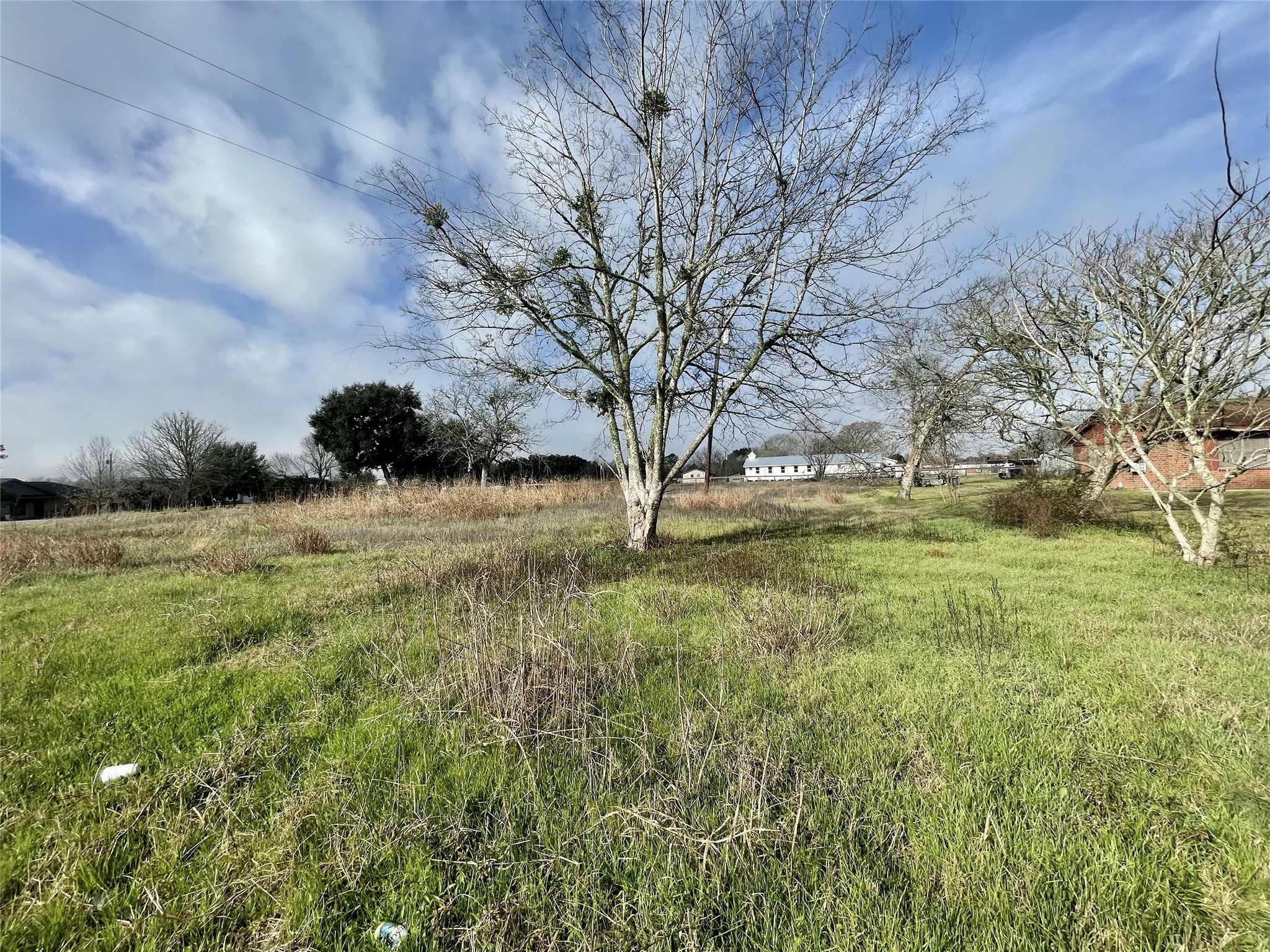 0 Chadwick-Hogan Road Chappell Hill, TX 77426 - Photo 9 of 11 a view of yard with green space