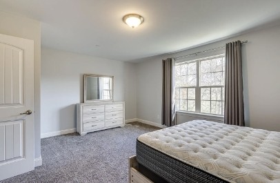 1003 Irish Way Spring Hill, TN 37174 - Photo 11 of 16