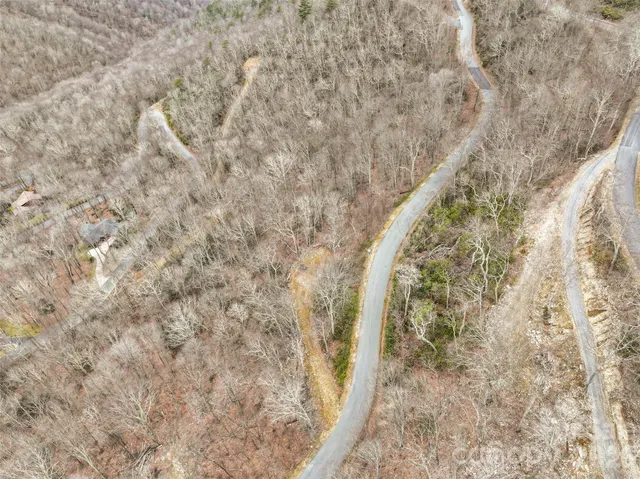 a view of a dry yard with trees
