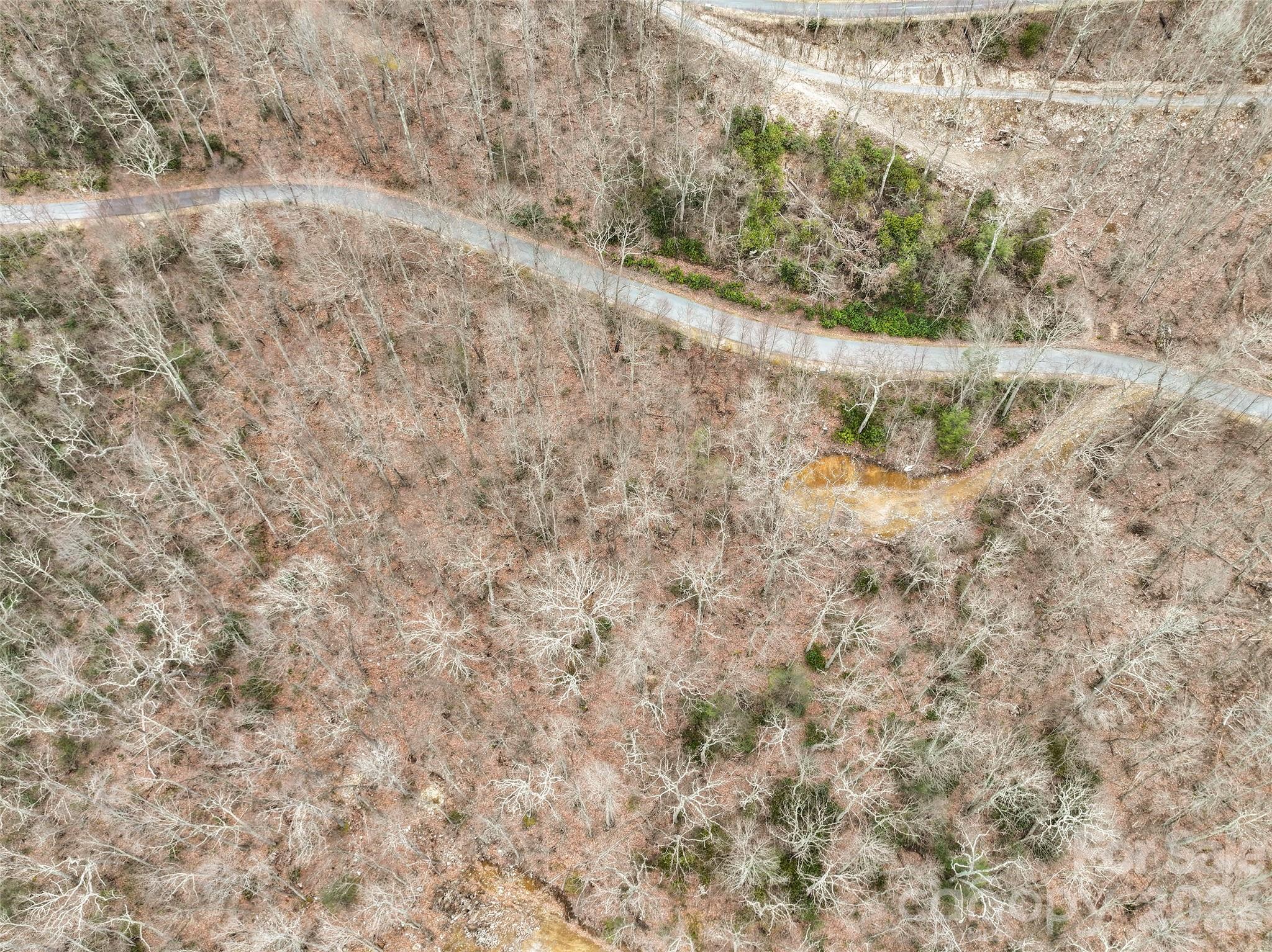 1480 Odalu Trail Apex, NC 27523 - Photo 17 of 32 a view of a dry yard with trees