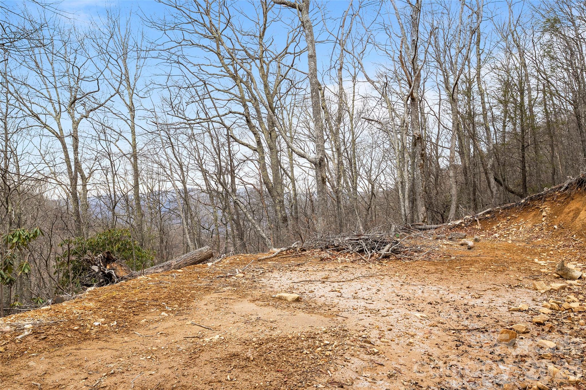 1480 Odalu Trail Apex, NC 27523 - Photo 6 of 32 a view of a yard with trees