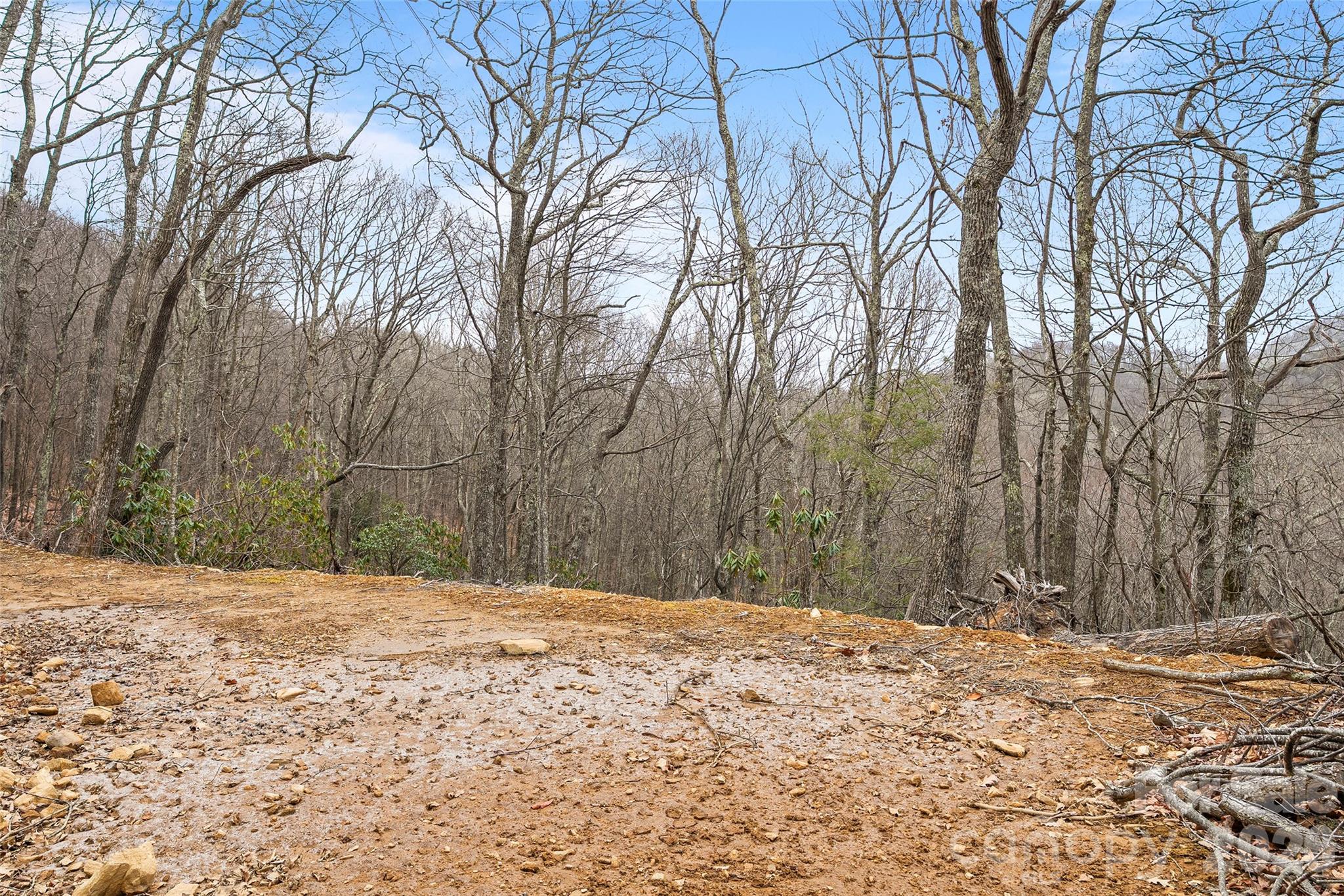 1480 Odalu Trail Apex, NC 27523 - Photo 10 of 32 a view of tree covered with snow in front of house