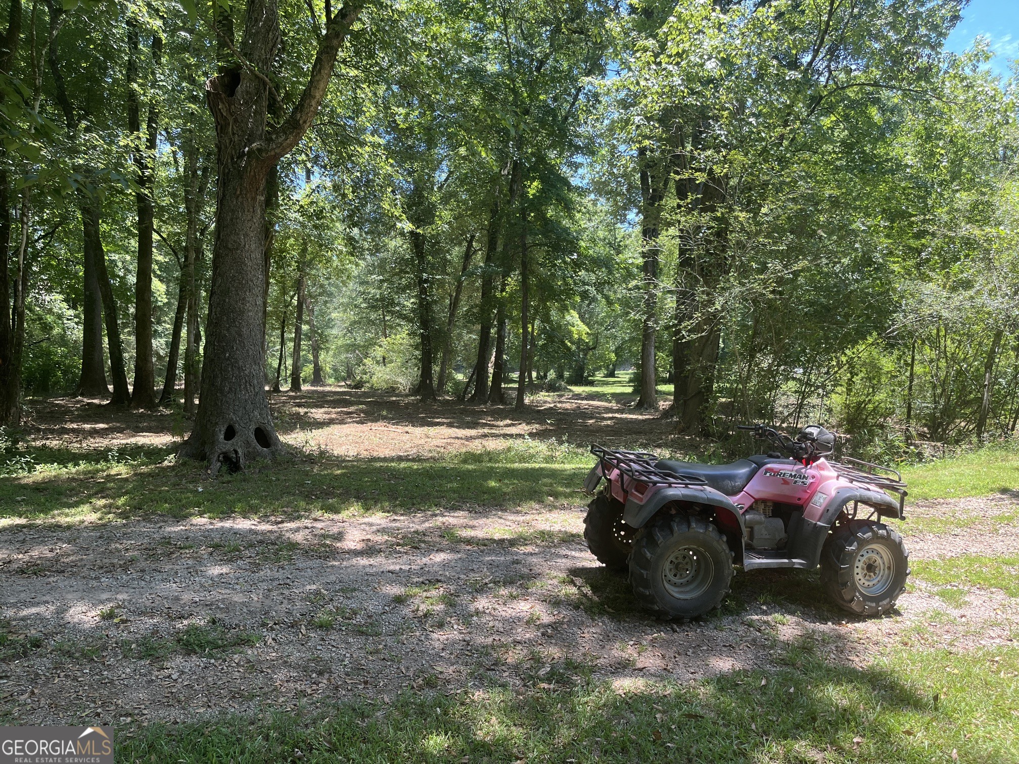 0 Sportsman Club Road Grantville, GA 30220 - Photo 11 of 46 a view of a yard with car parked