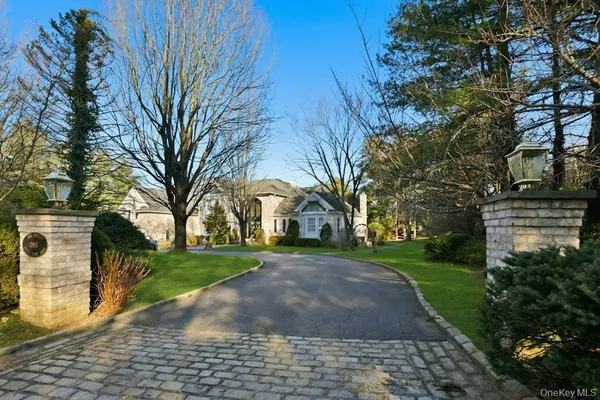 a view of a park with large trees