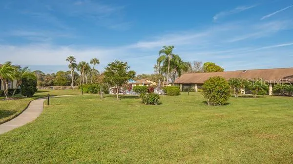 a view of a swimming pool with a lawn chairs under palm trees
